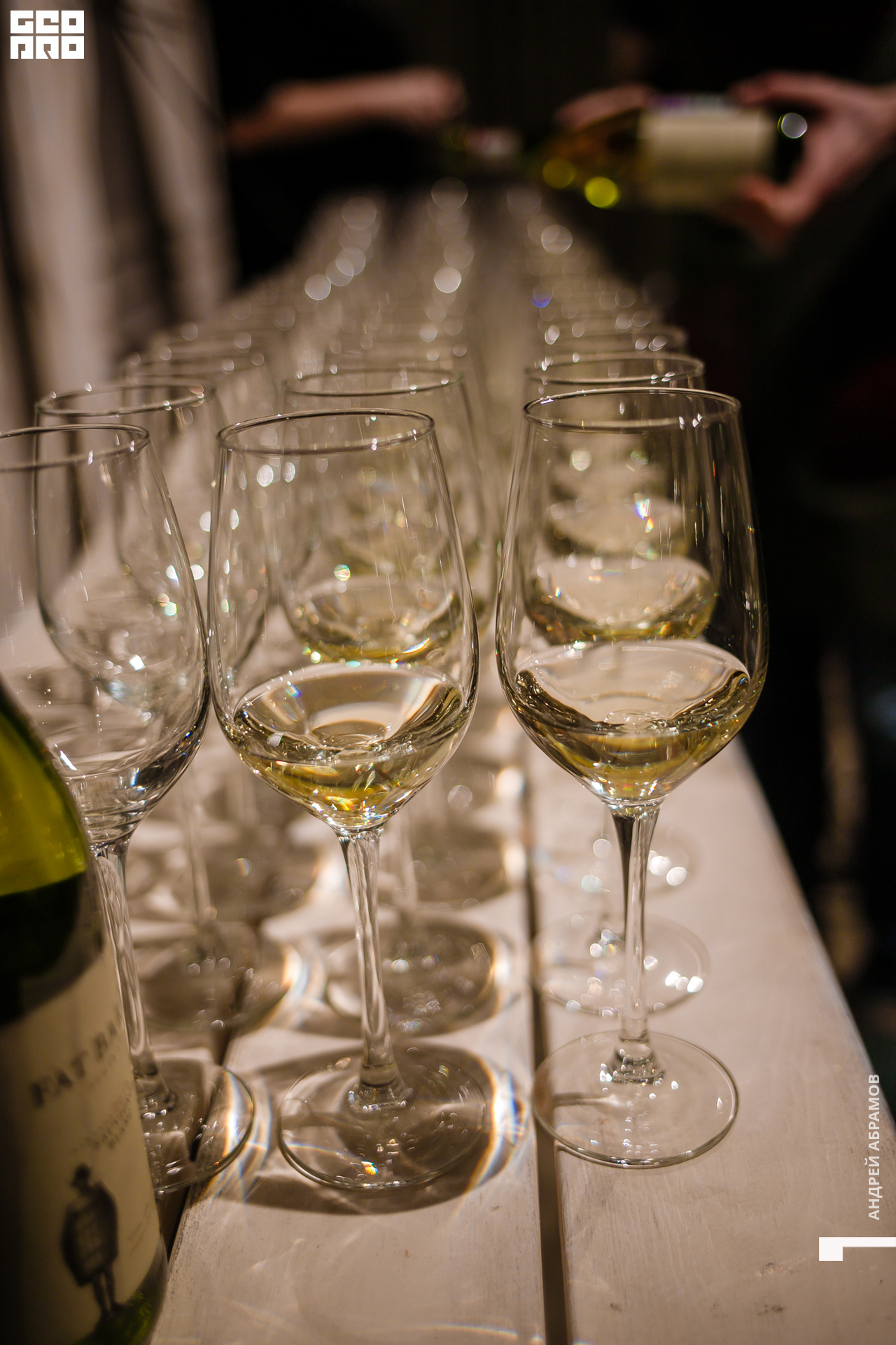 051219 Гастроужин Птичка Абрамов  0021.jpg