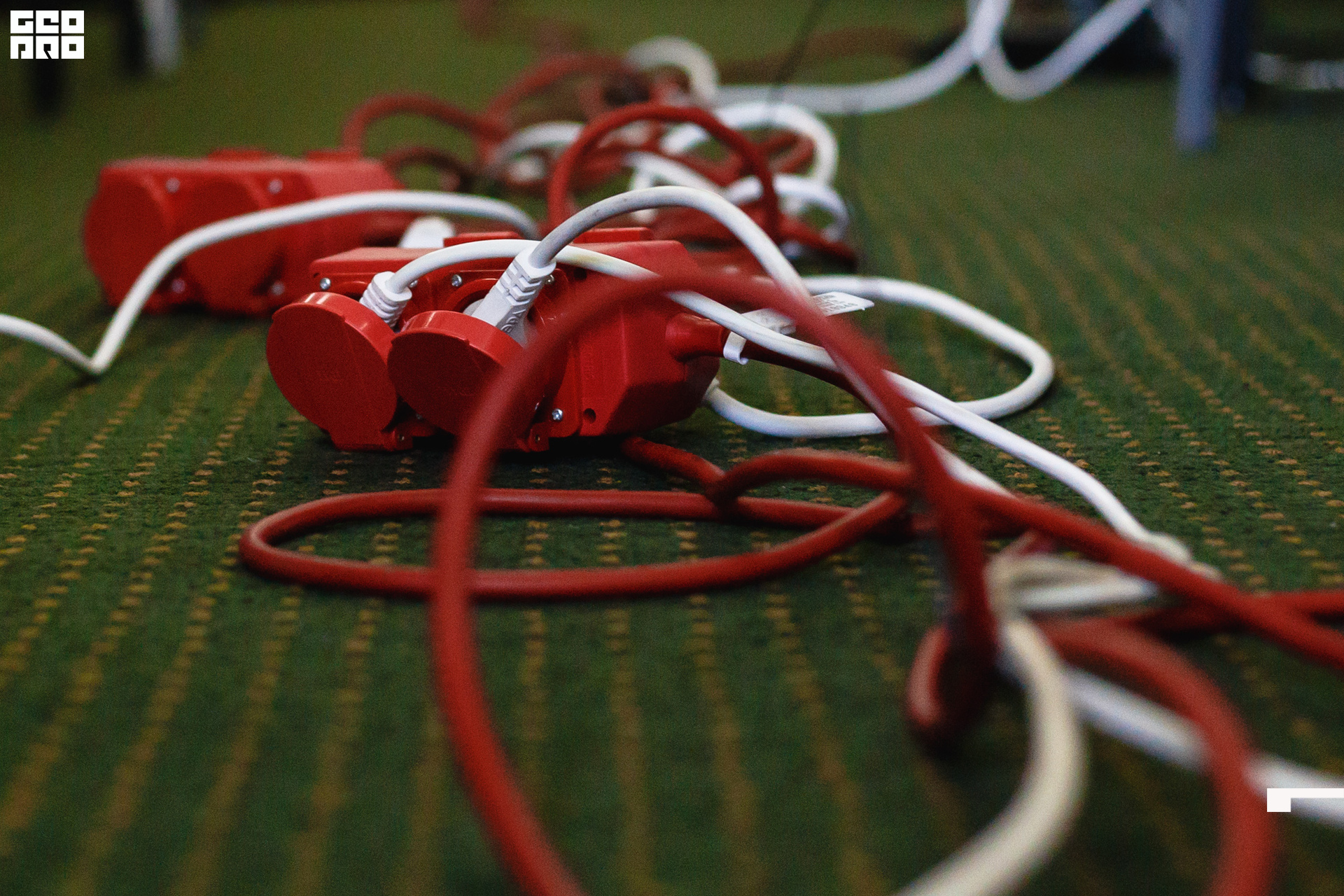 2019-11-30 10-00-00_svirkova_016.jpg