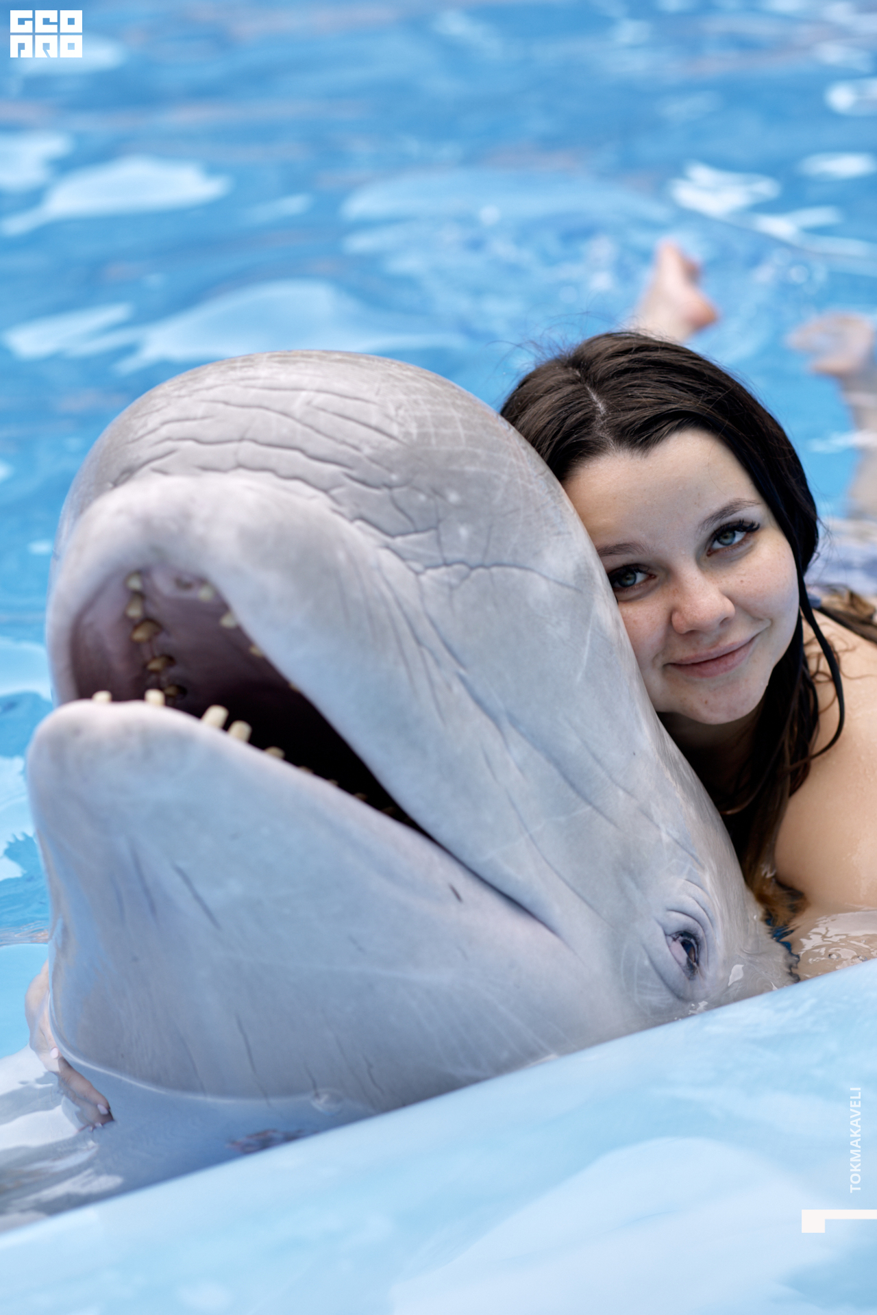 tokmakaveli 1501.jpg