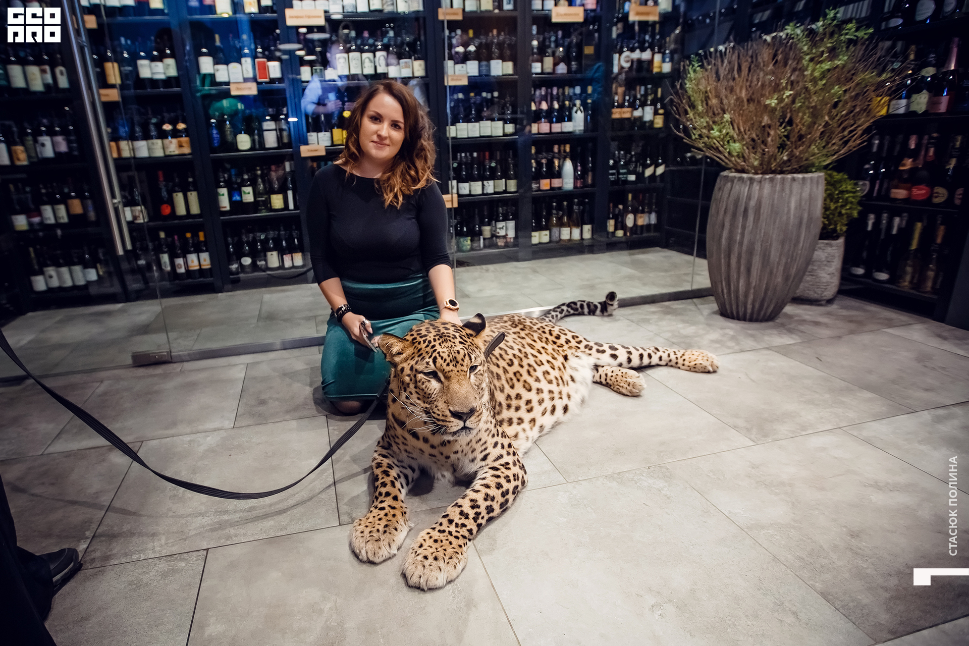 кино вино и домино - 196.jpg