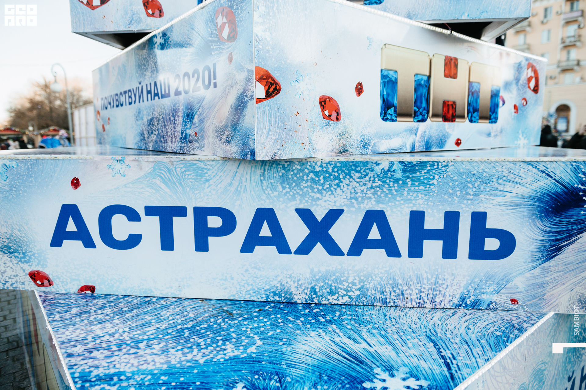 untitled (2 of 97).jpg