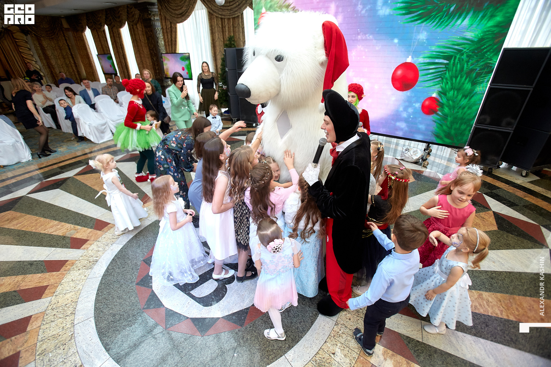 2019-12-21 11-00-00_Kashin_0101.jpg