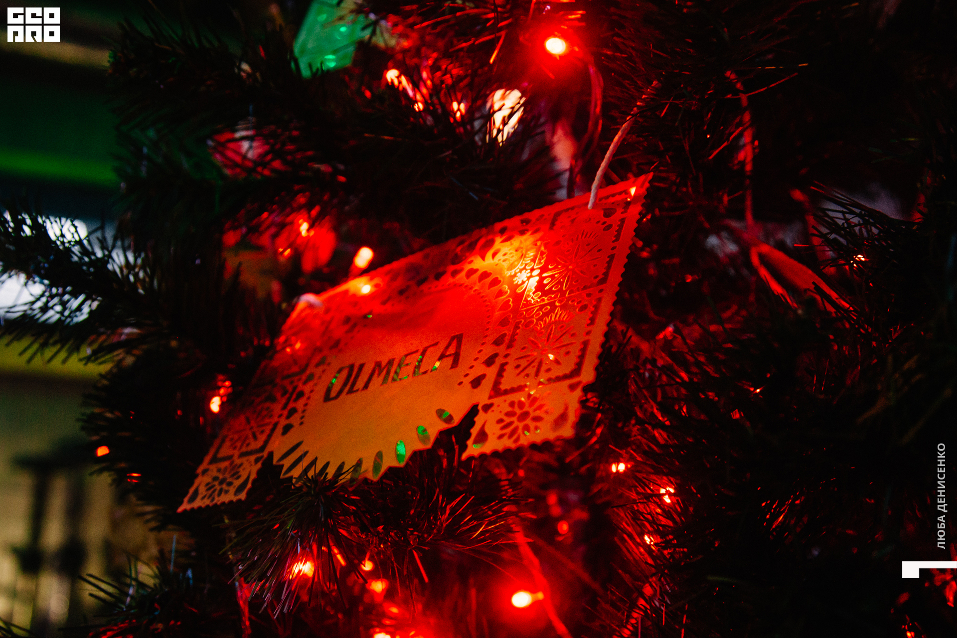 2019-11-22 00-30-00_Denisenko_0090.jpg