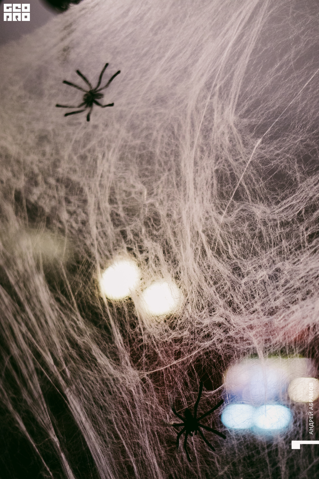 011119 5561 Абрамов 0025.jpg