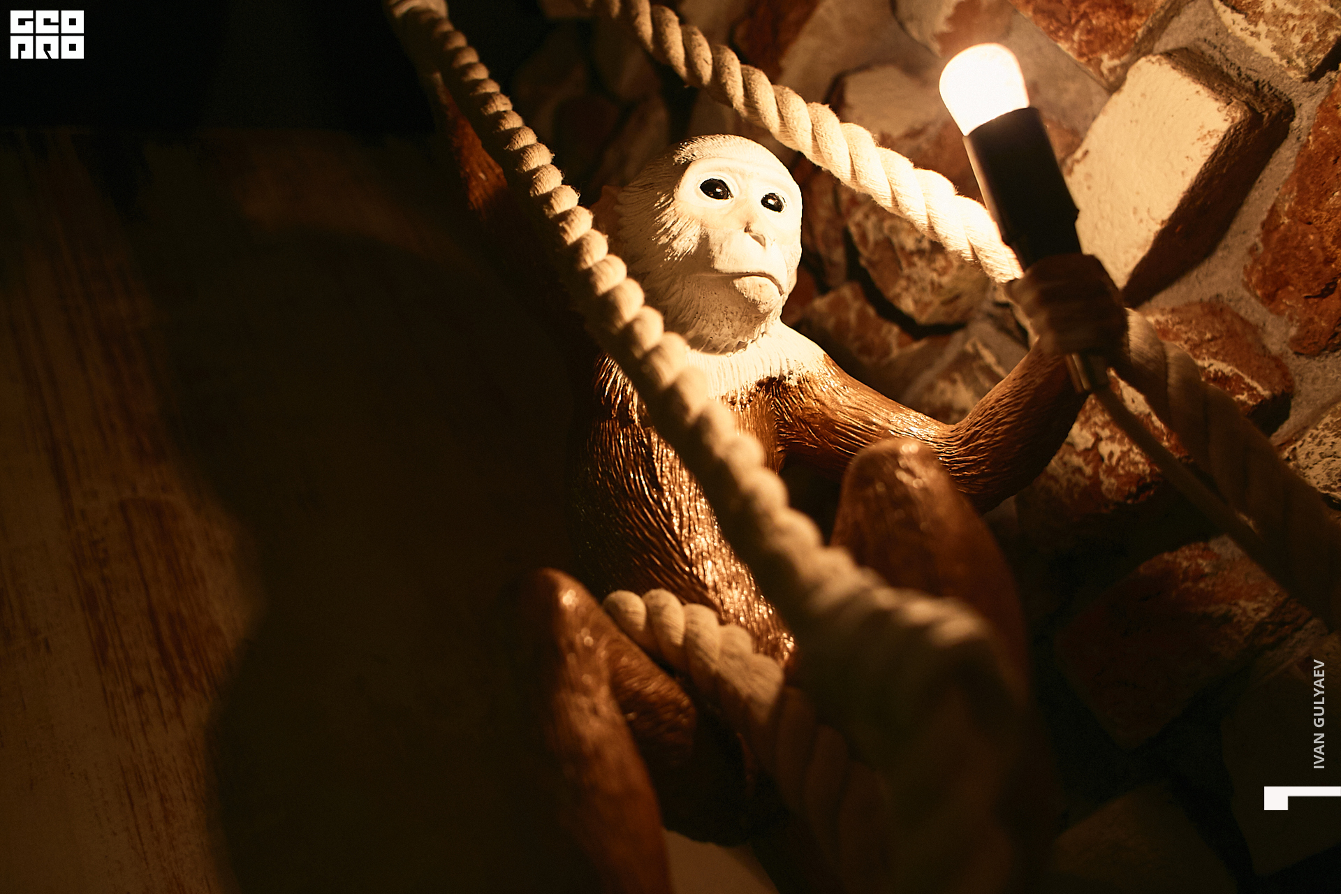 0058 _08112019_205530_Gulyaev.jpg