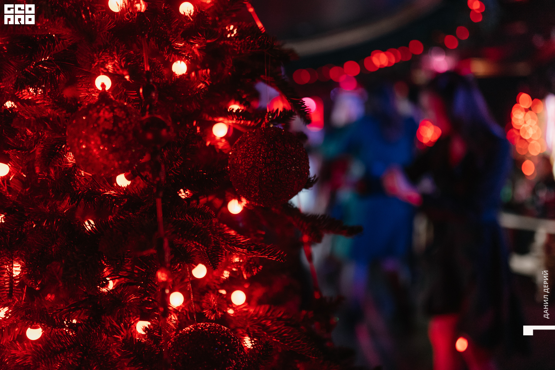 Deriyphoto (87 of 87).jpg