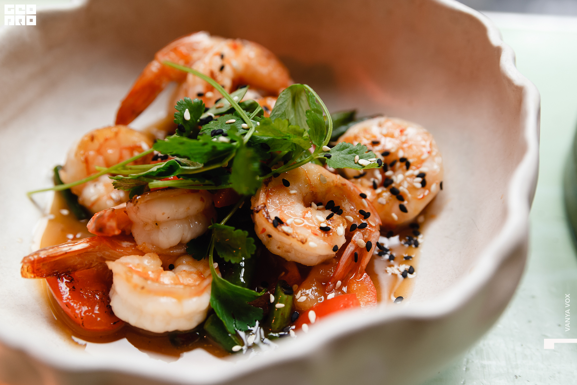 2020-02-14 18-45-00_vox_006.jpg