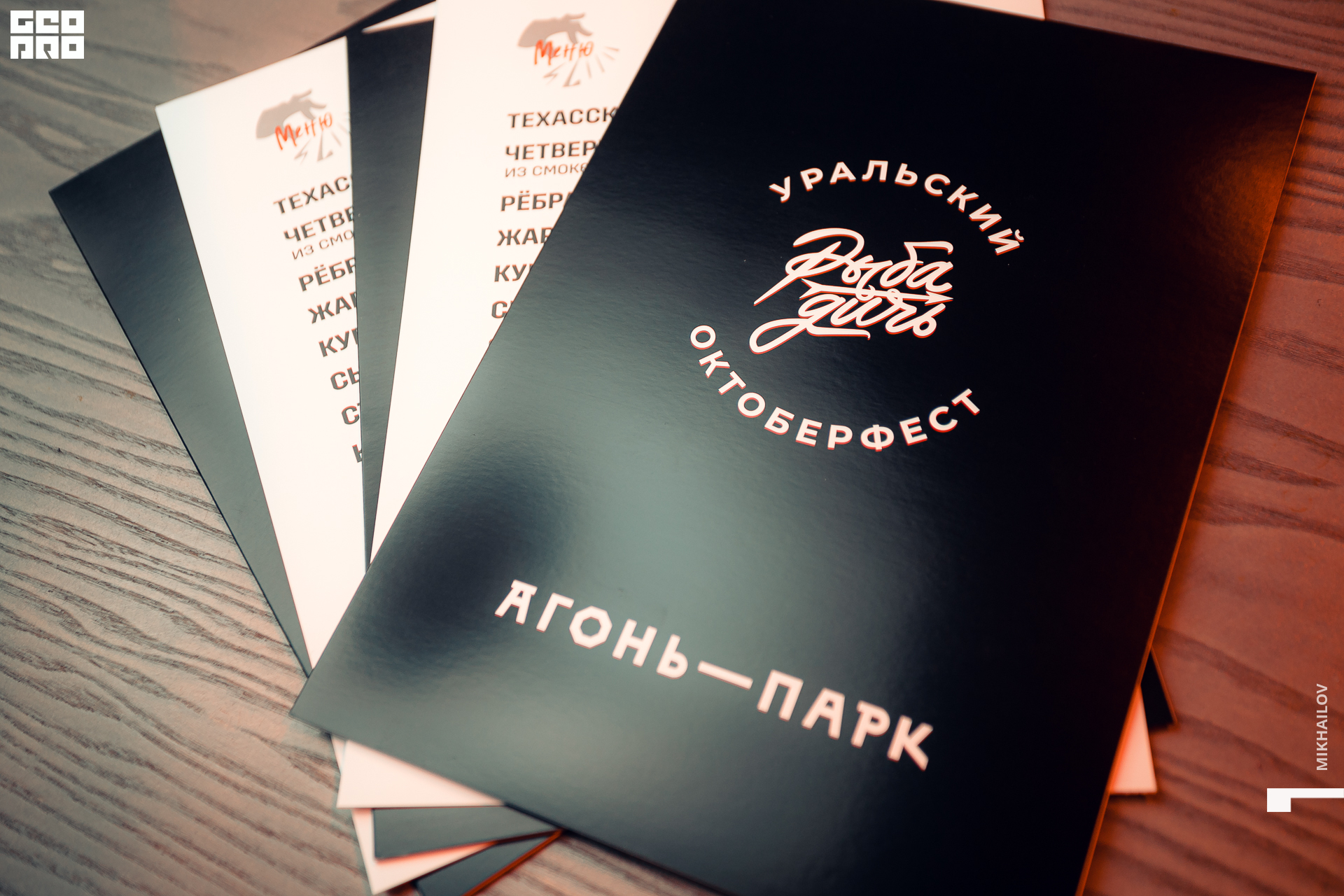 033-31-10-2020-14-01-Агонь - Михайлов - 1920.jpg