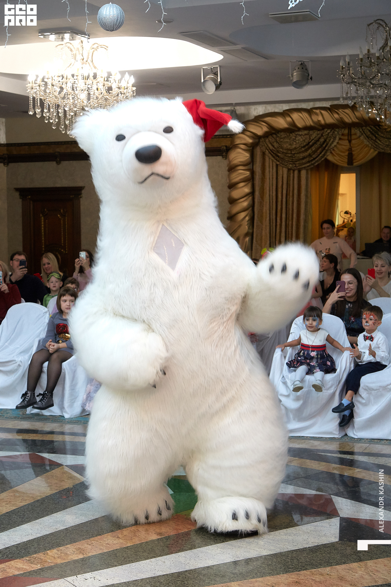 2019-12-21 11-00-00_Kashin_0095.jpg