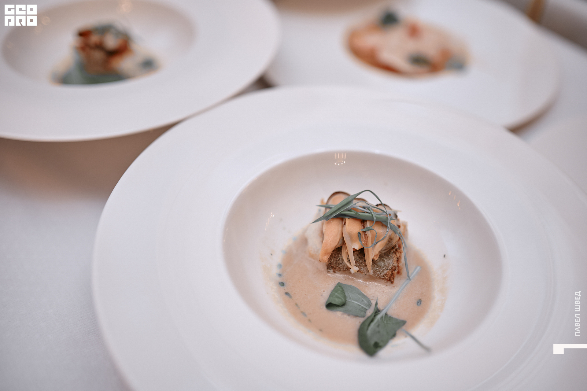 2019-12-05 16-10-00_SHVED_0071.jpg