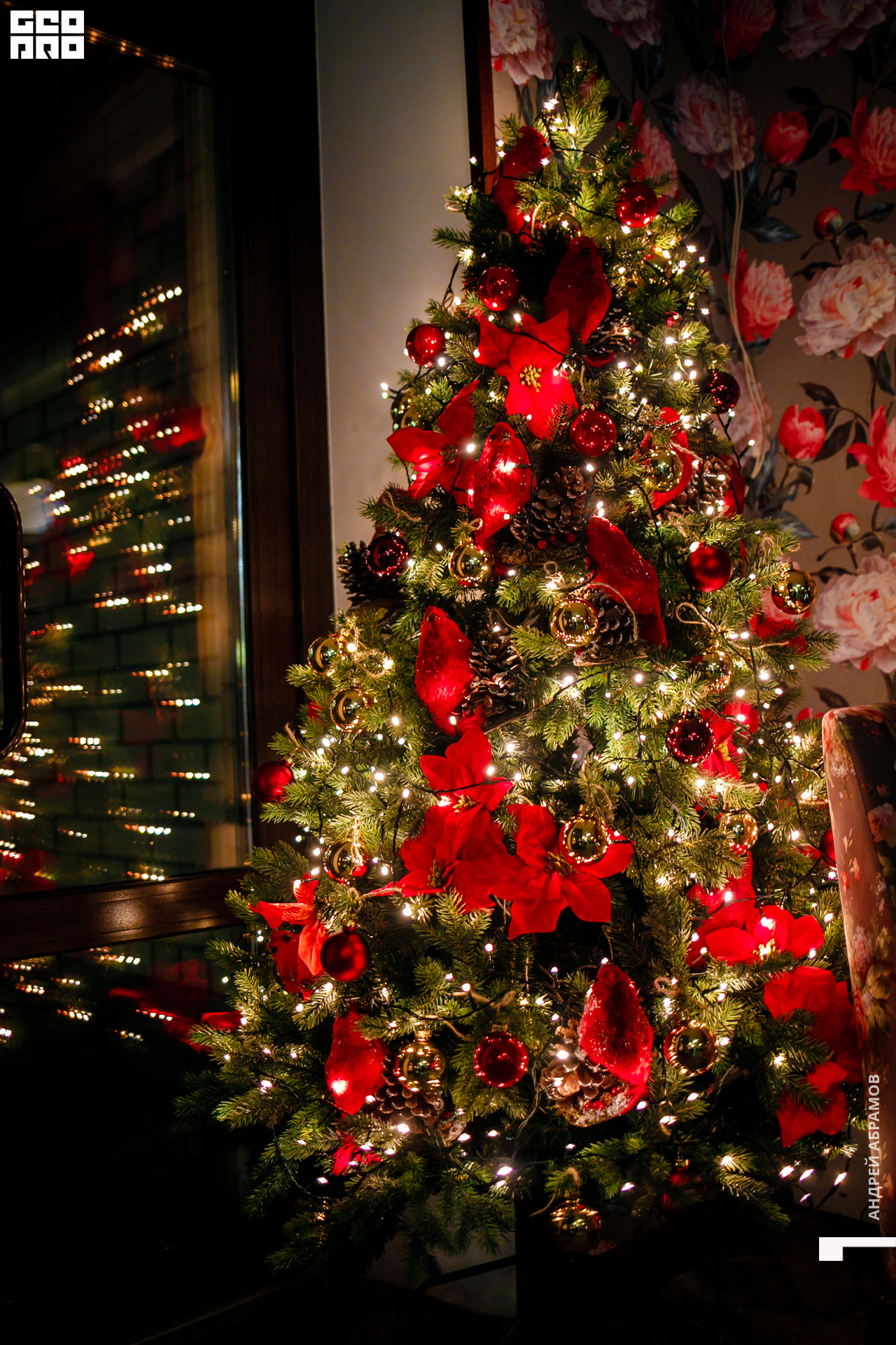 051219 Гастроужин Птичка Абрамов  0058.jpg