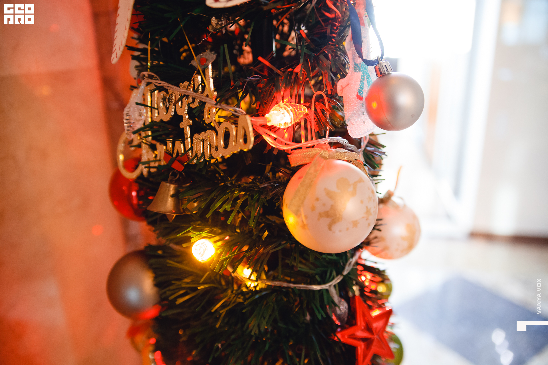 2019-12-14 12-00-00_Вокс_0137.jpg