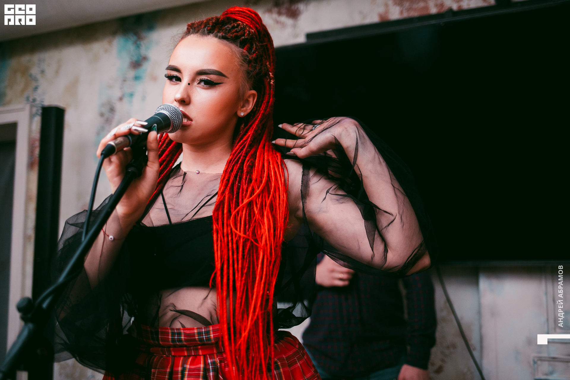 131219 Птичка и 5561 Абрамов для загрузки  0131.jpg