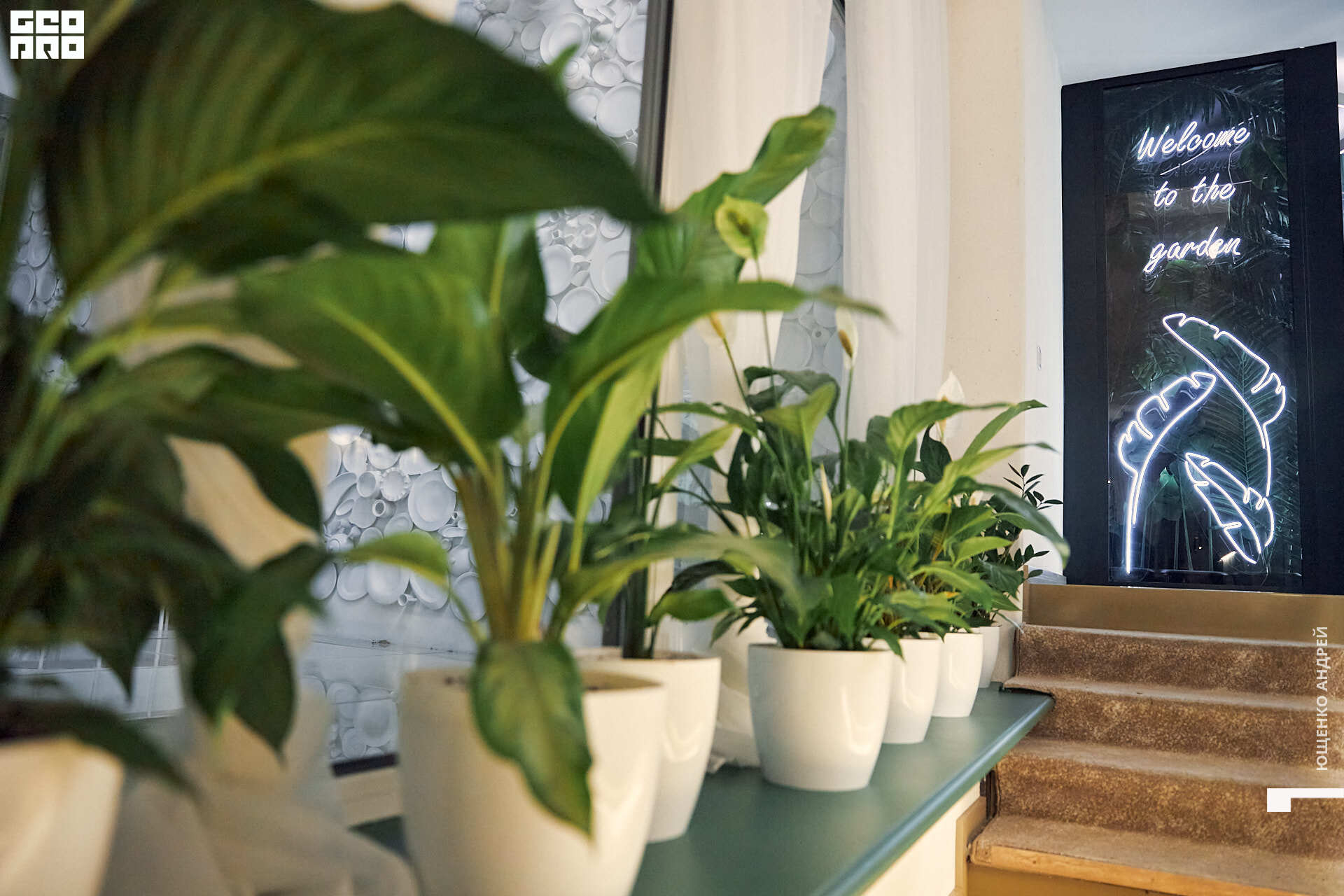 014 IMG_2709  FHD.jpg