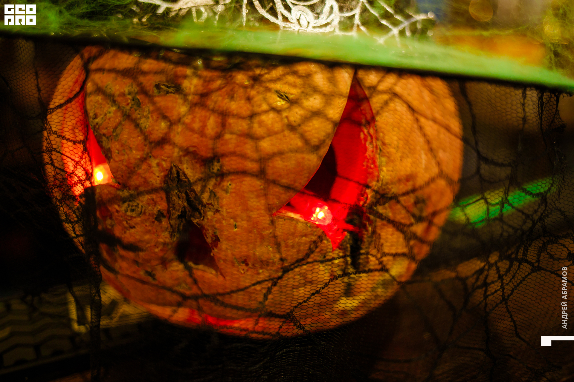 311019 Бар на Бейвеля Абрамов 0048.jpg