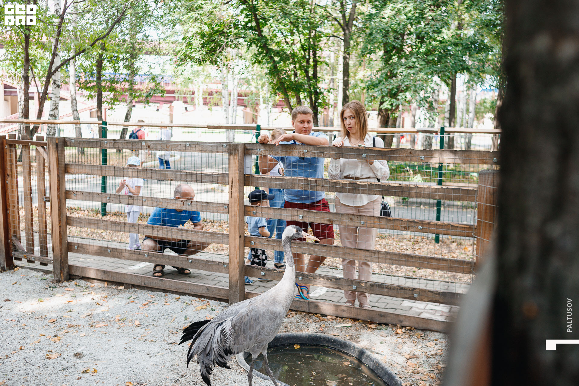 016-2020-07-25-15-52-04 - Paltusov.jpg