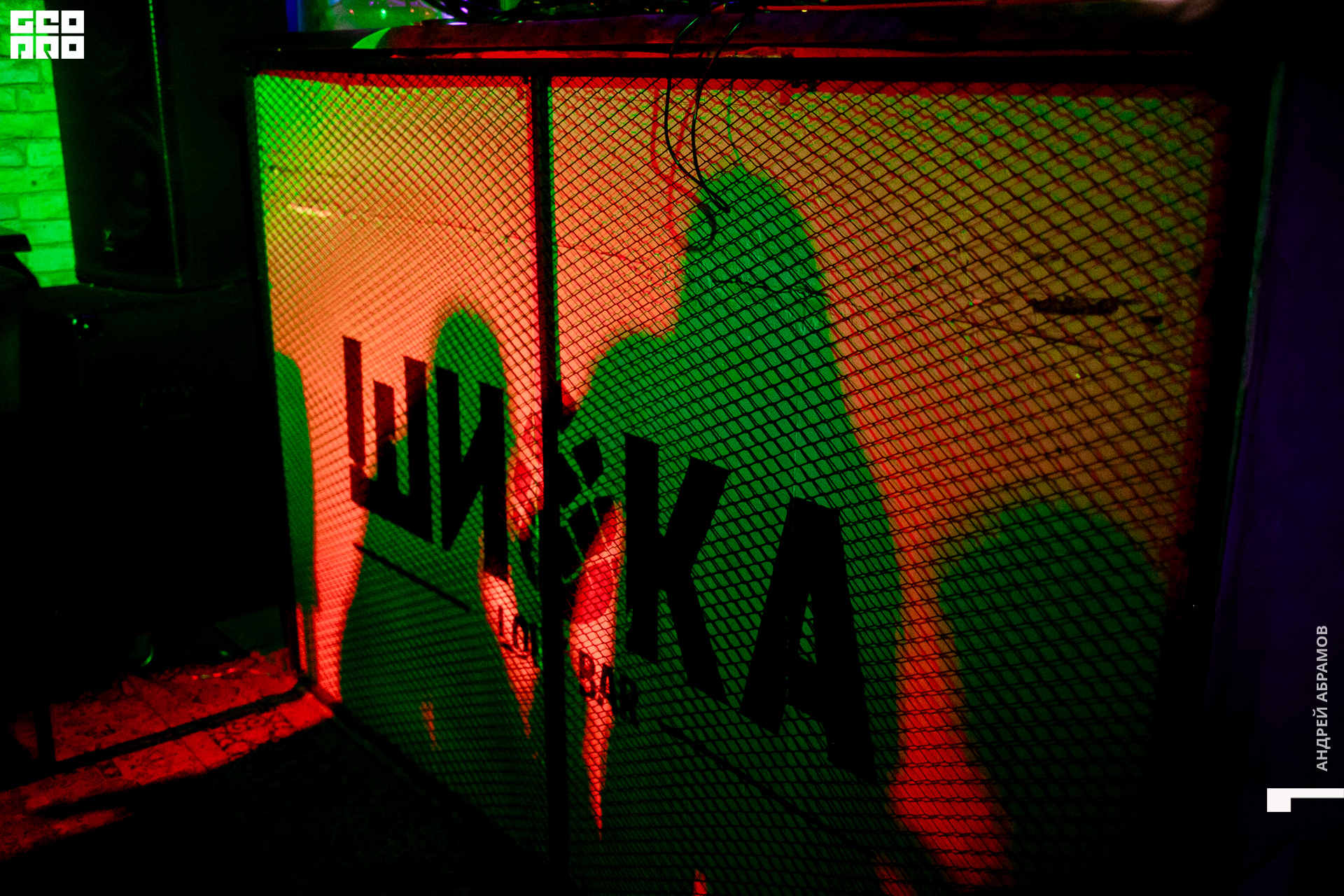 181019 Шишка Абрамов0091.jpg