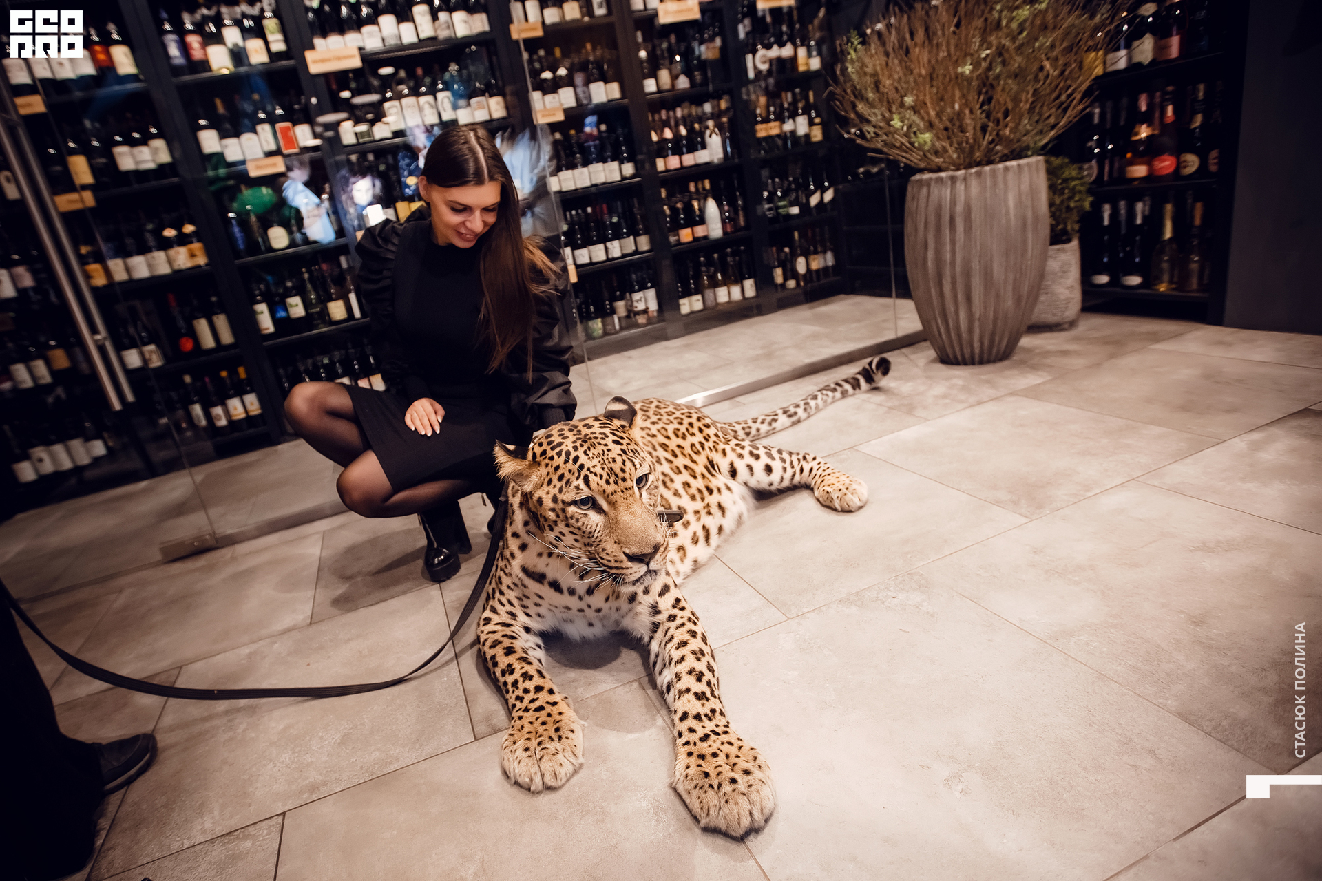 кино вино и домино - 182.jpg