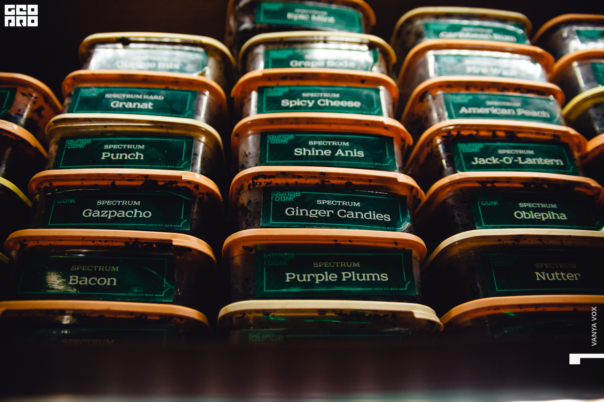 2019-11-01 23-00-00_Вокс_0038.jpg