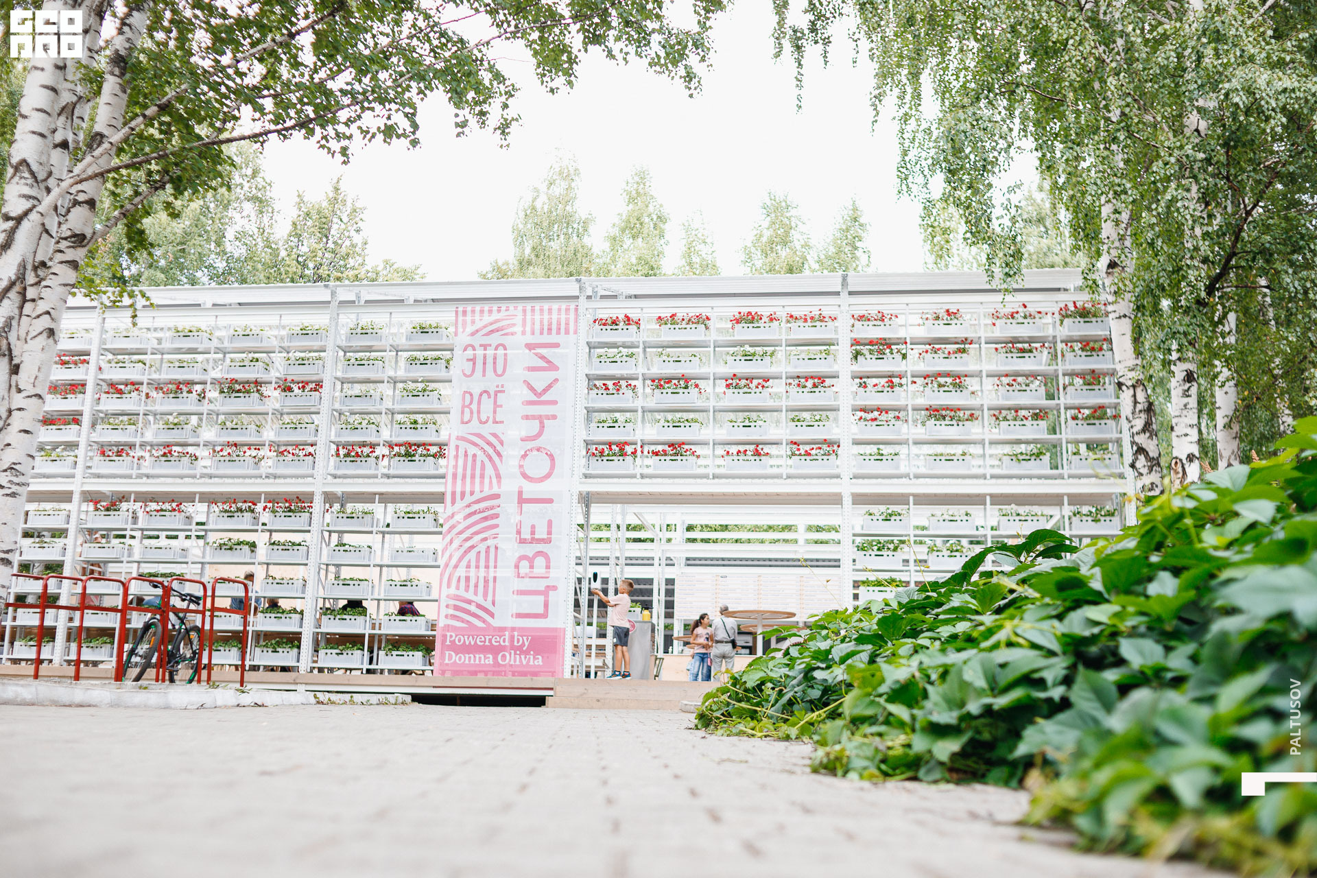 095-2020-07-25-17-01-39 - Paltusov.jpg