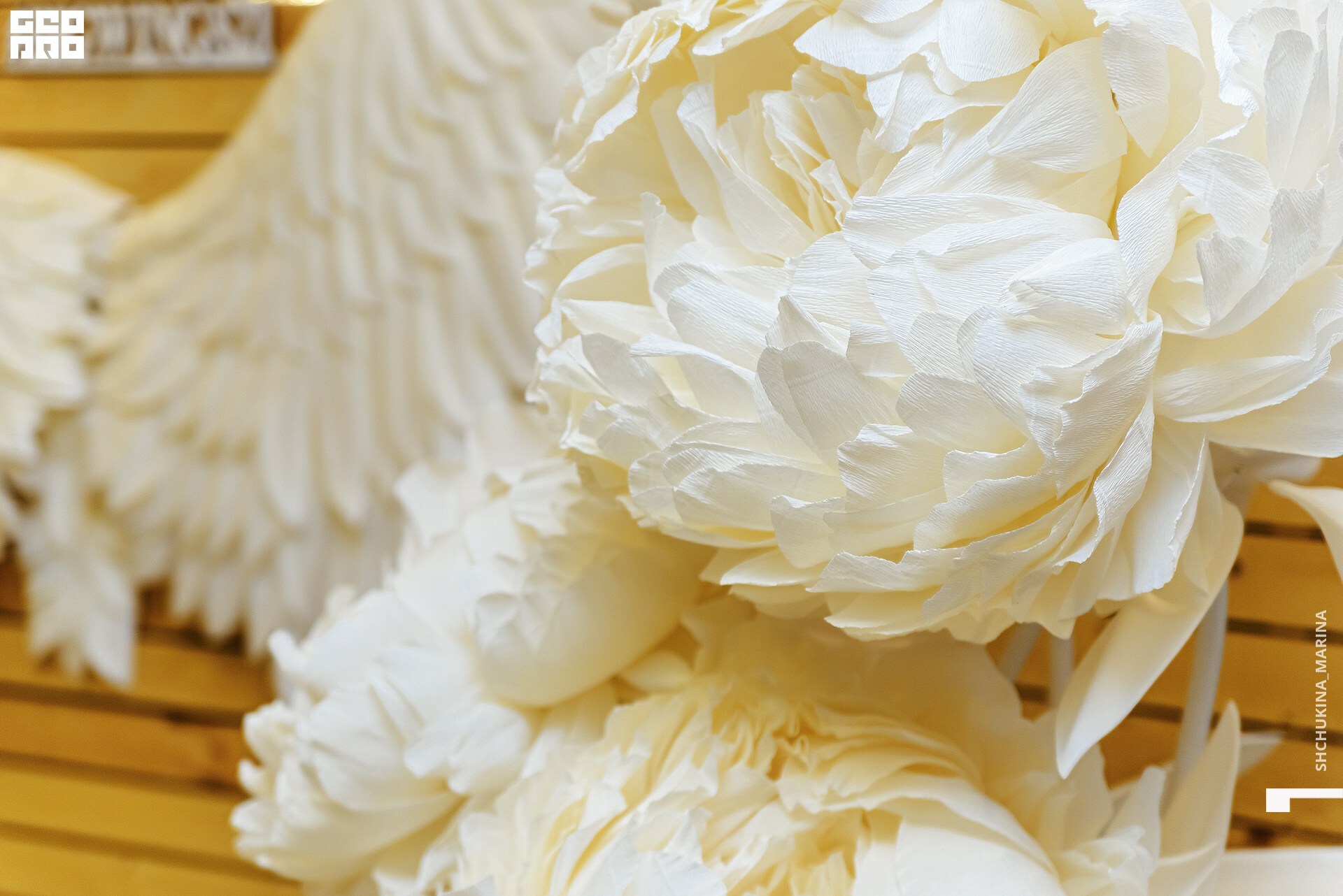 03.11.2019 цвет-74.jpg