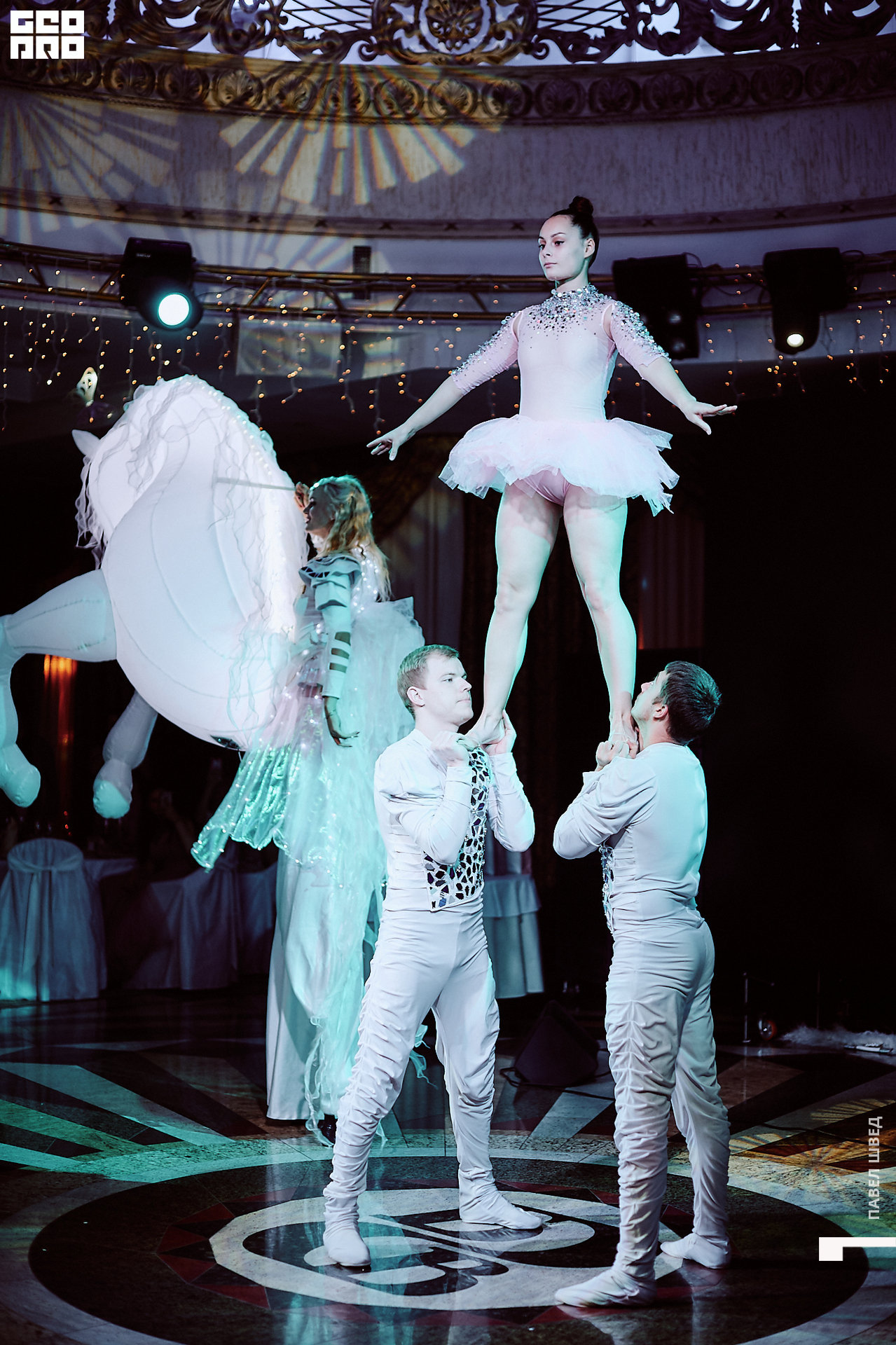 2019-11-06 11-30-00_SHVED_0534.jpg