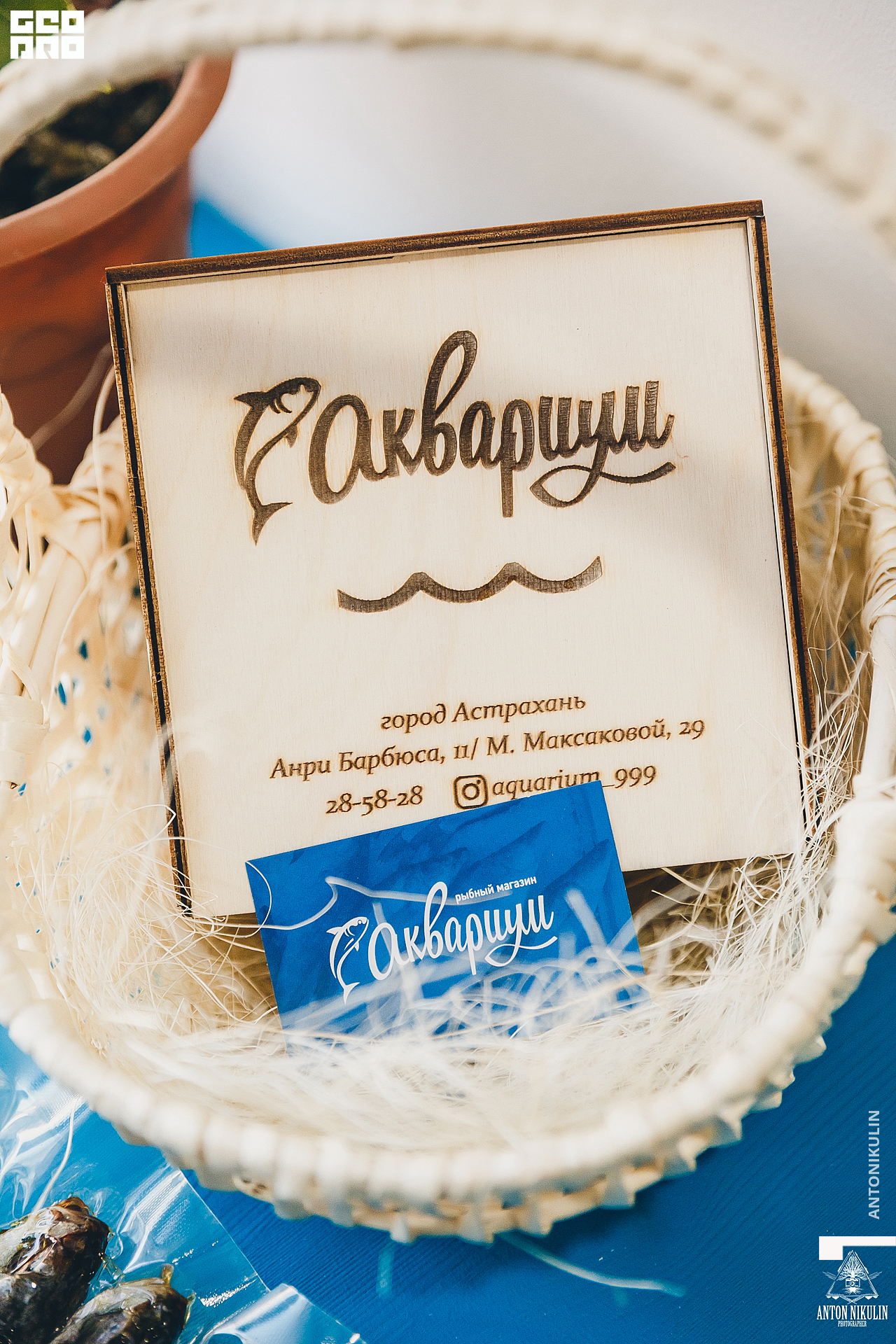 untitled shoot-9933.jpg