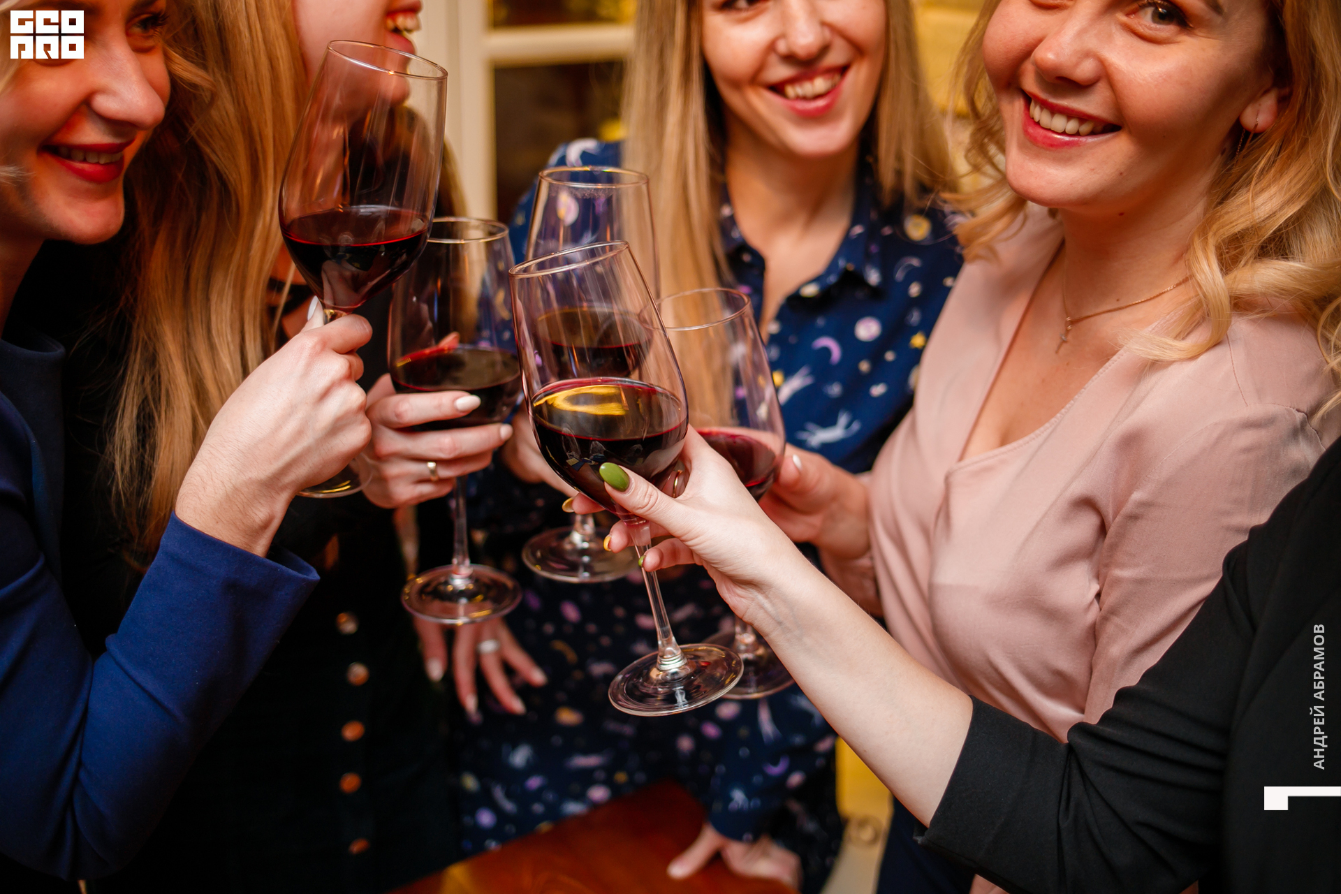 151119 Птичка Абрамов 0003.jpg