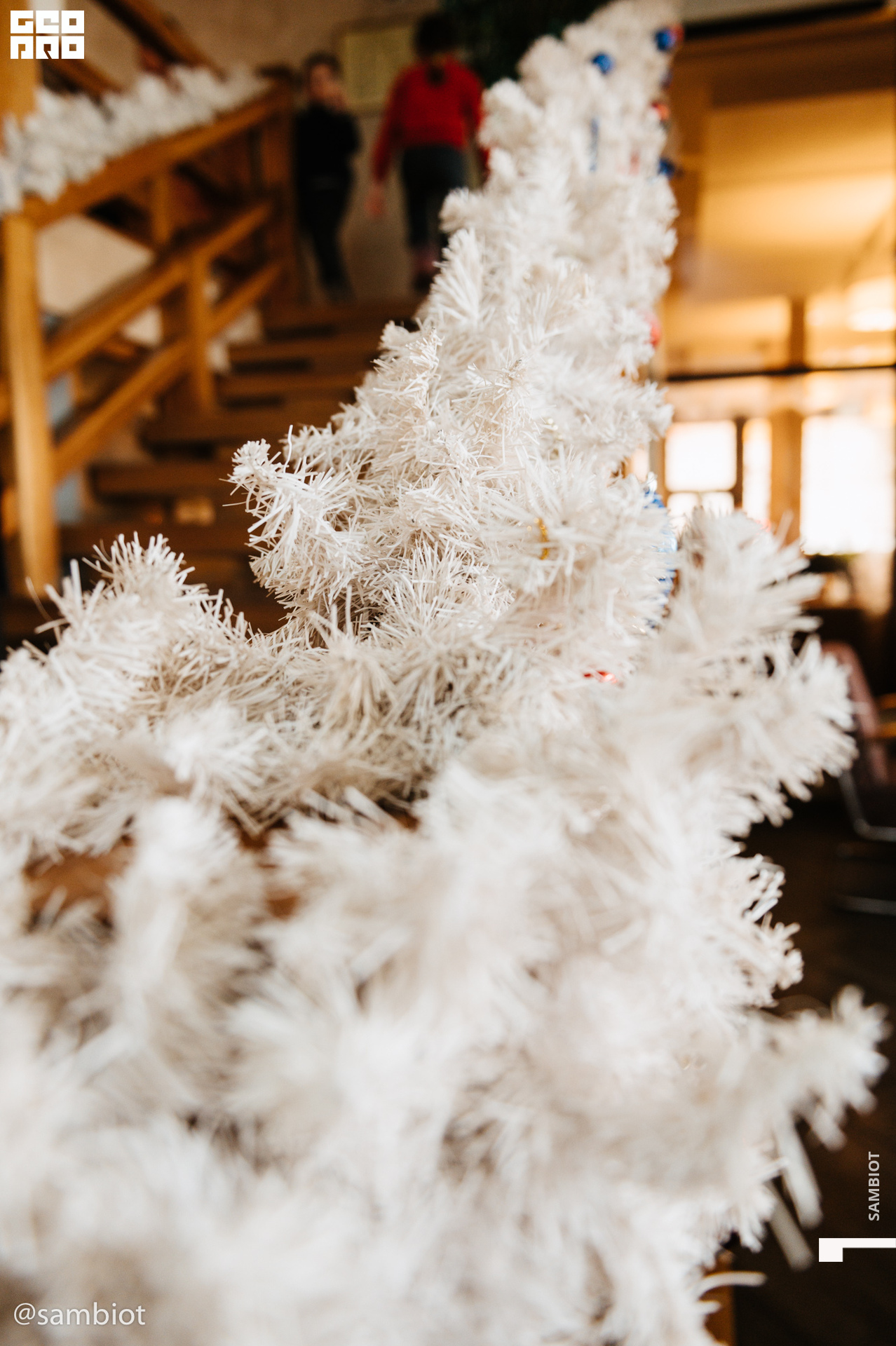 untitled (46 of 145).jpg