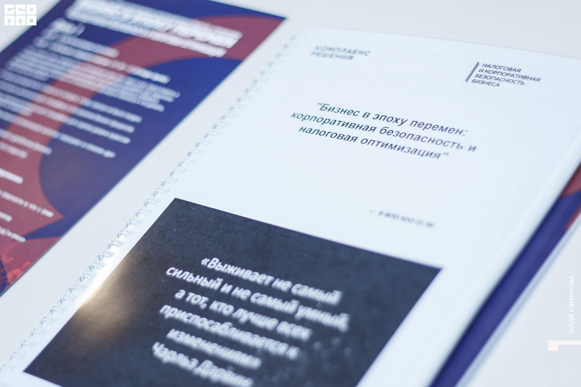 2019-12-11 09-30-00_svirkova_013.jpg