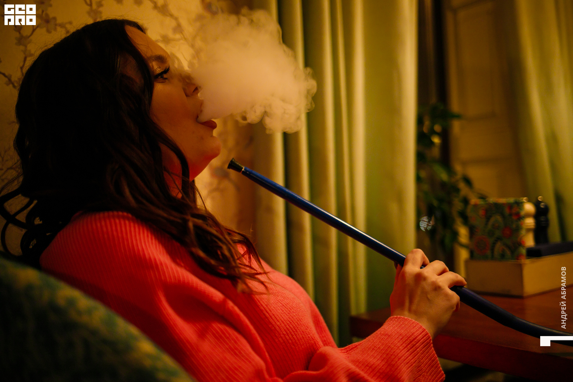 221119 Птичка Абрамов 0078.jpg