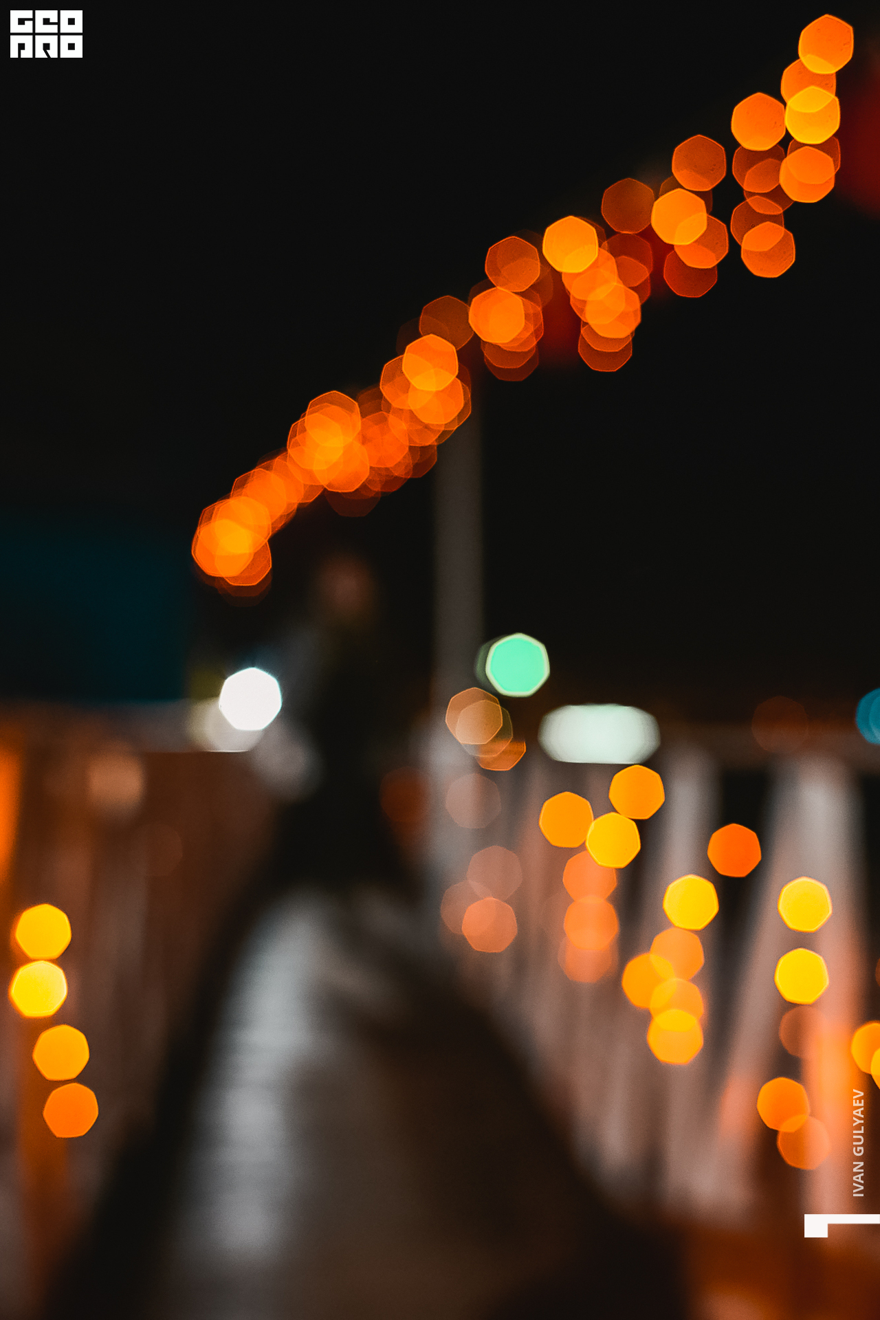 0038 _01122019_183802_Gulyaev.jpg