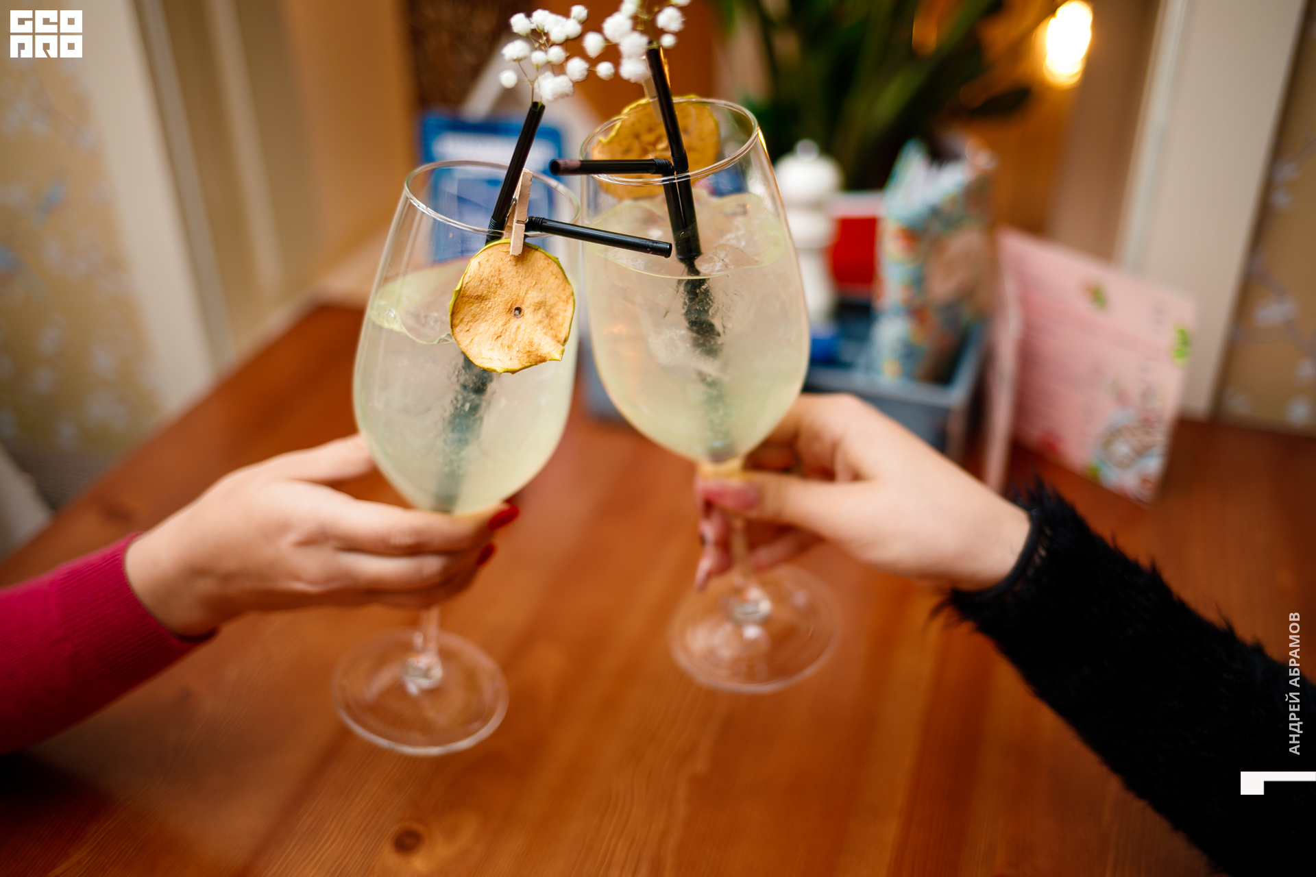 011119 Птичка Абрамов 0059.jpg