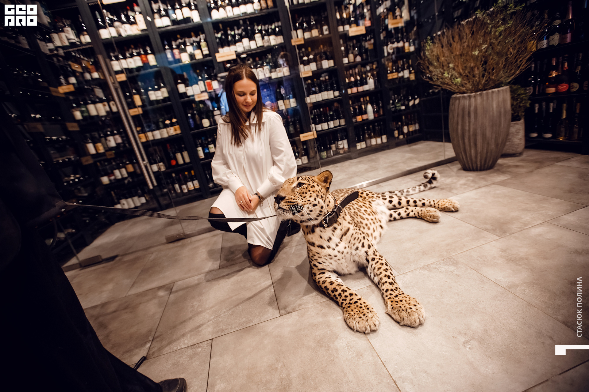 кино вино и домино - 189.jpg