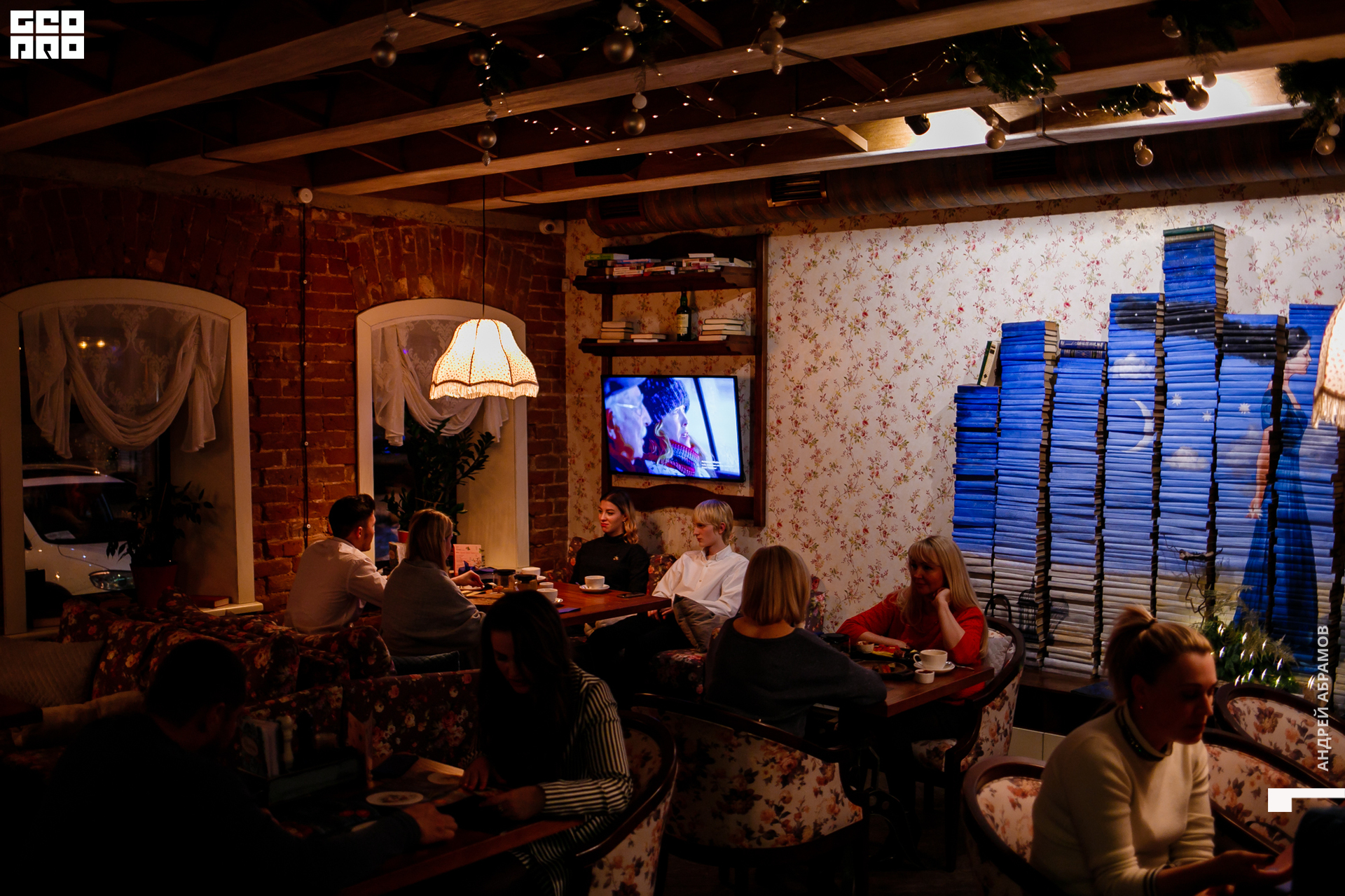 061219 Птичка Абрамов  0087.jpg