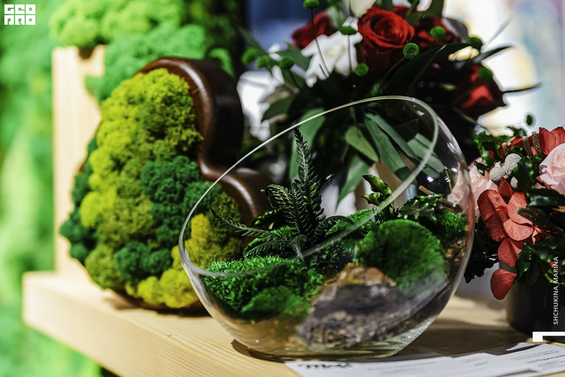  31.10.2019 цвет-146.jpg