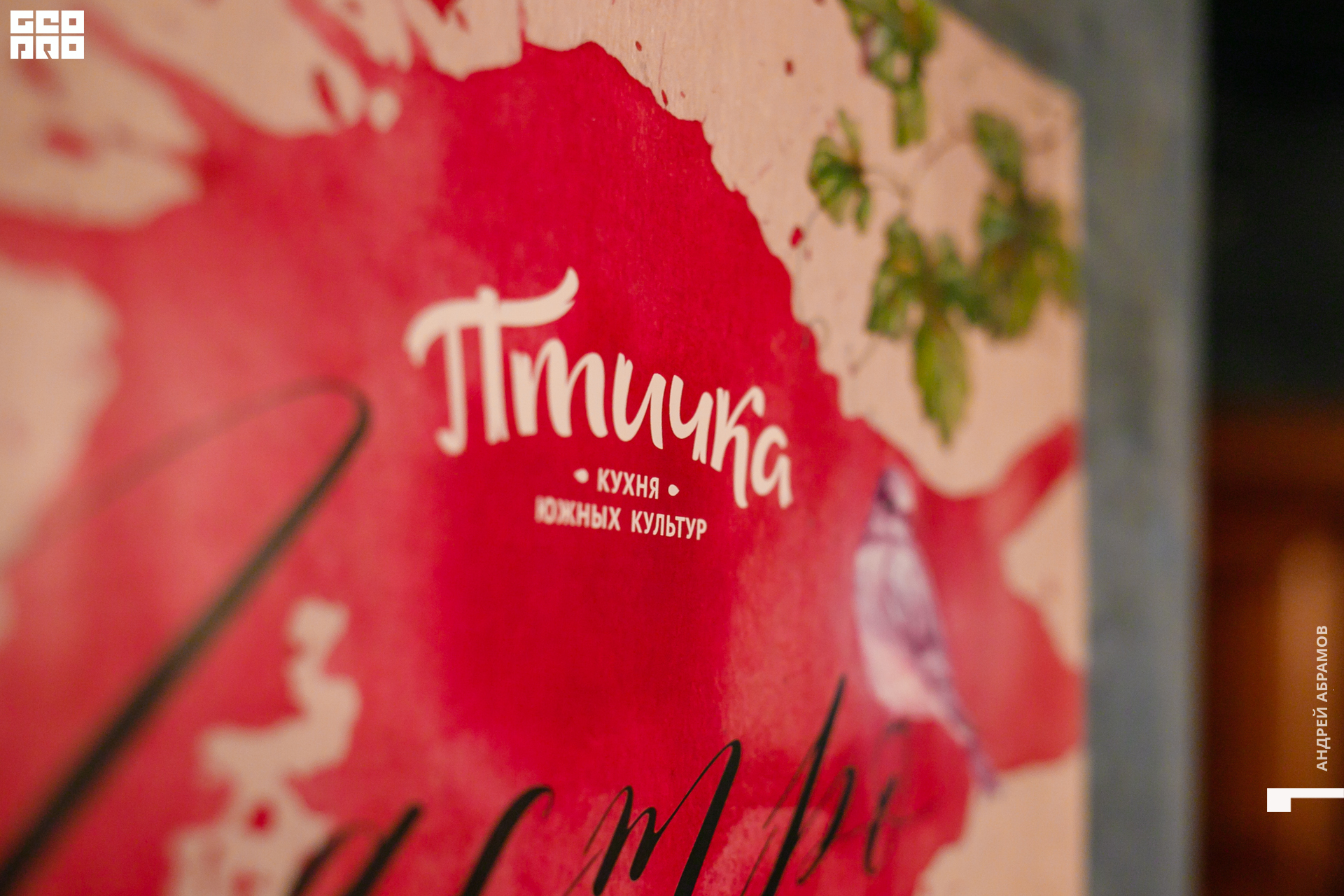 111019 Птичка Абрамов0097.jpg