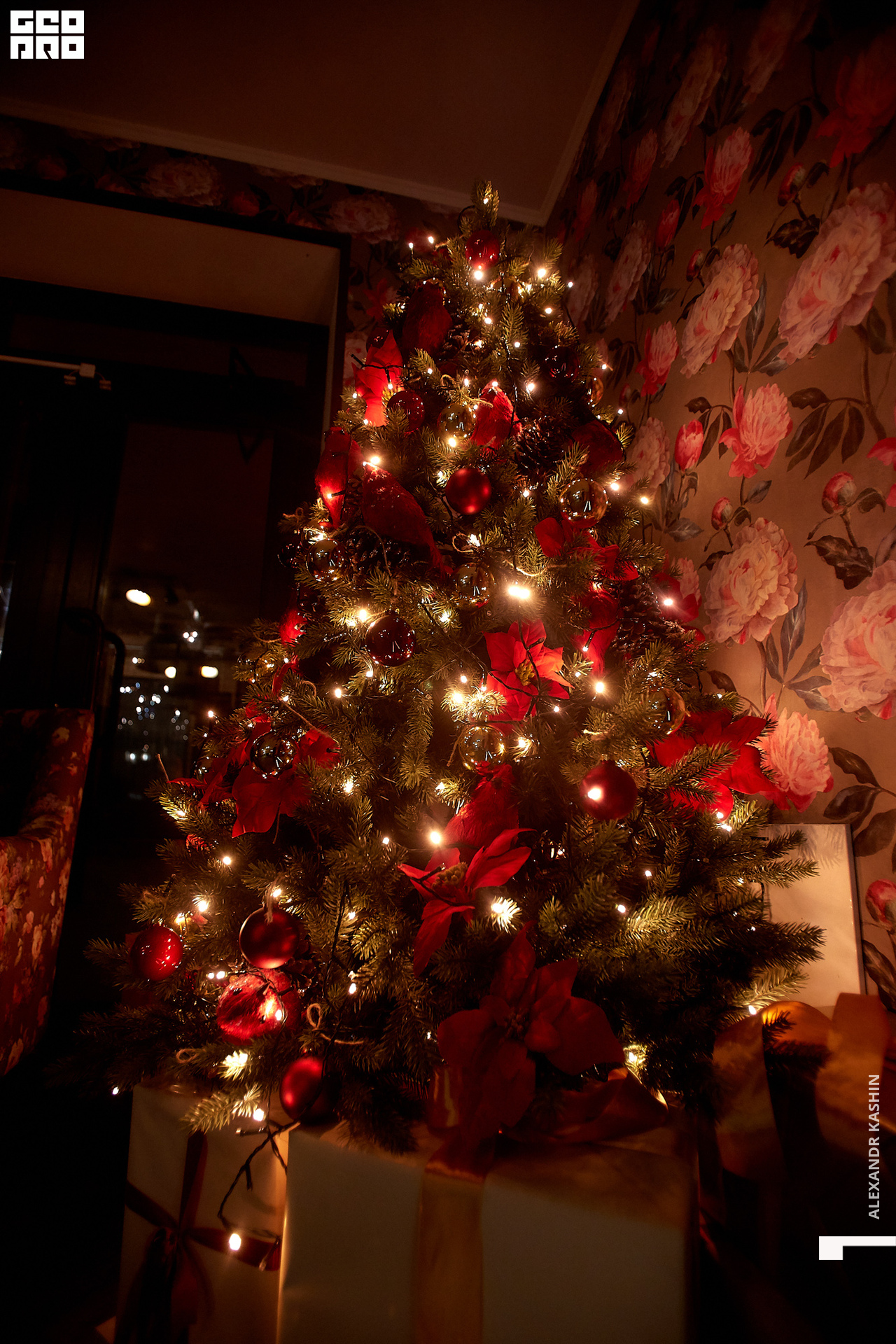 2020-01-03 21-30-00_Kashin_0020.jpg