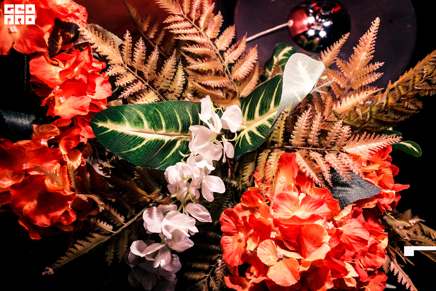 Cartagena (44 of 73).jpg