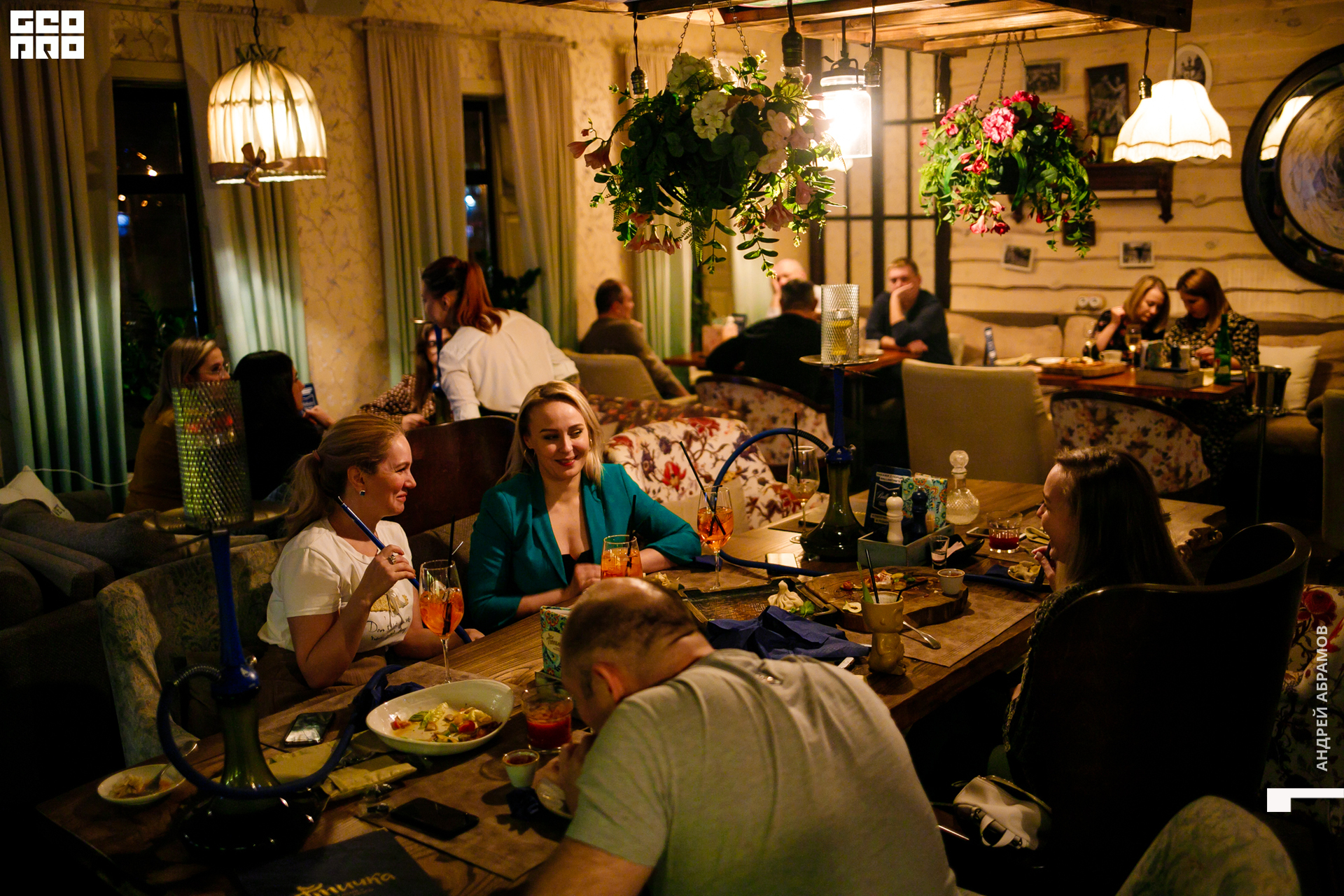 081119 Птичка Абрамов 0002.jpg