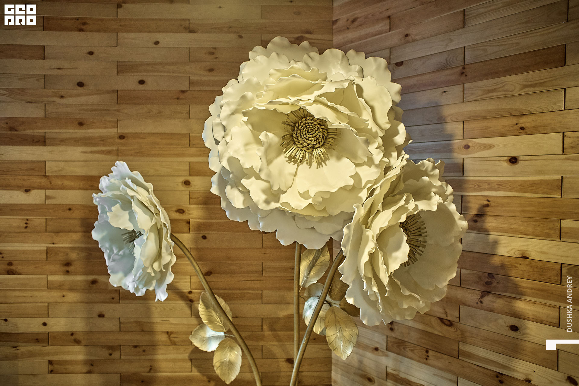 ТУСОВКА.17.07.20_ 02.jpg