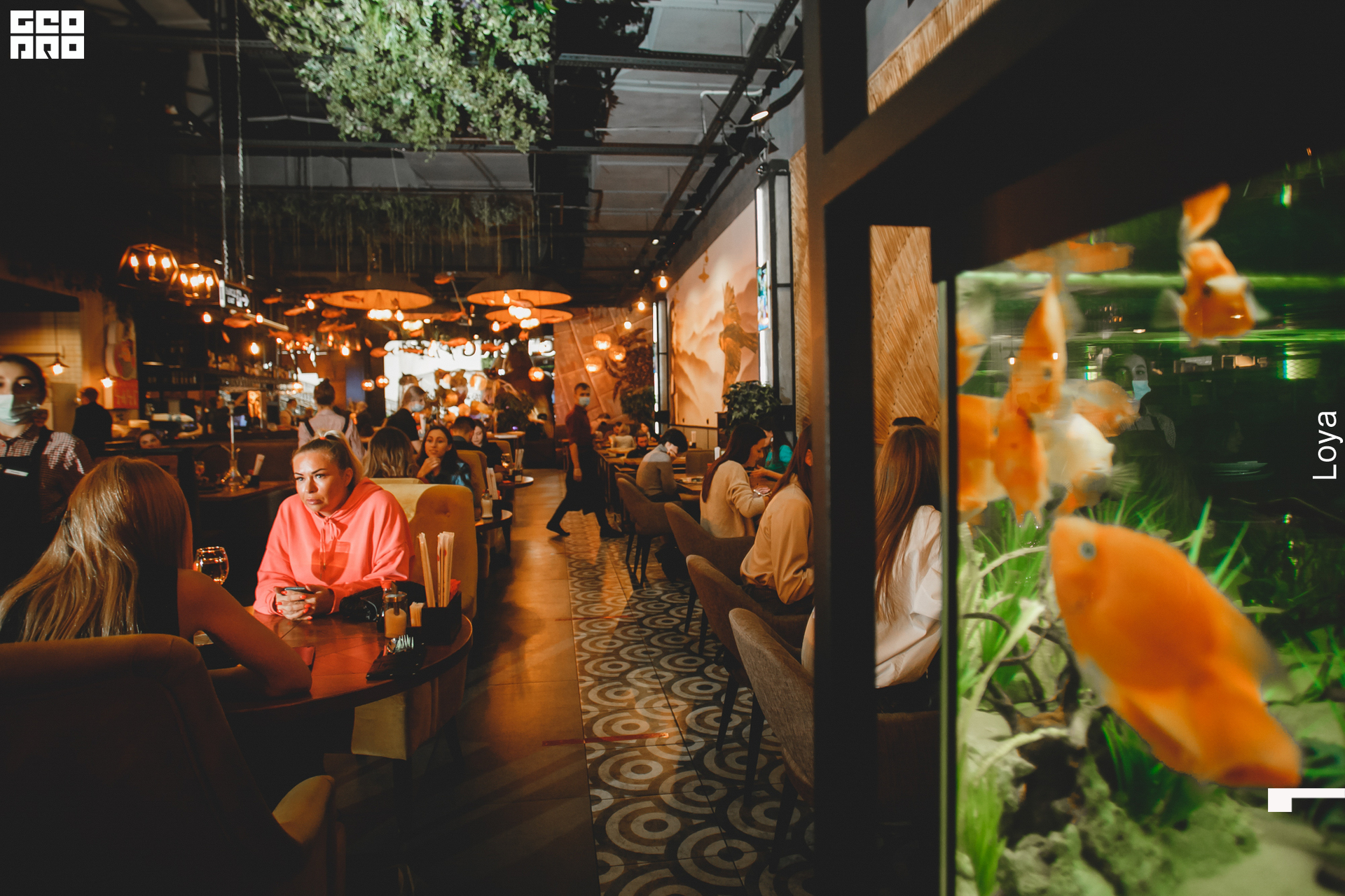 014_мистер чанг.jpg