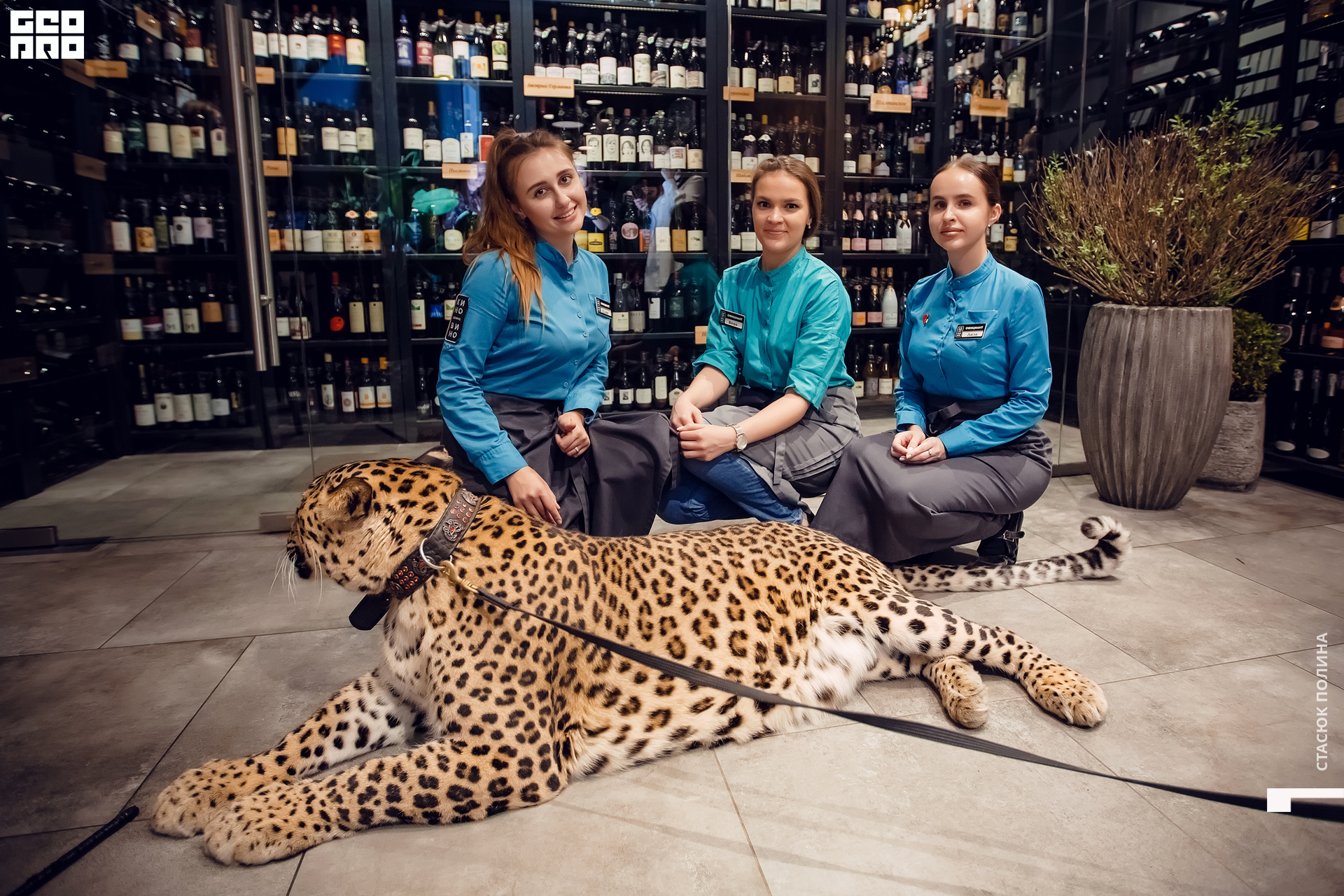 кино вино и домино - 261.jpg