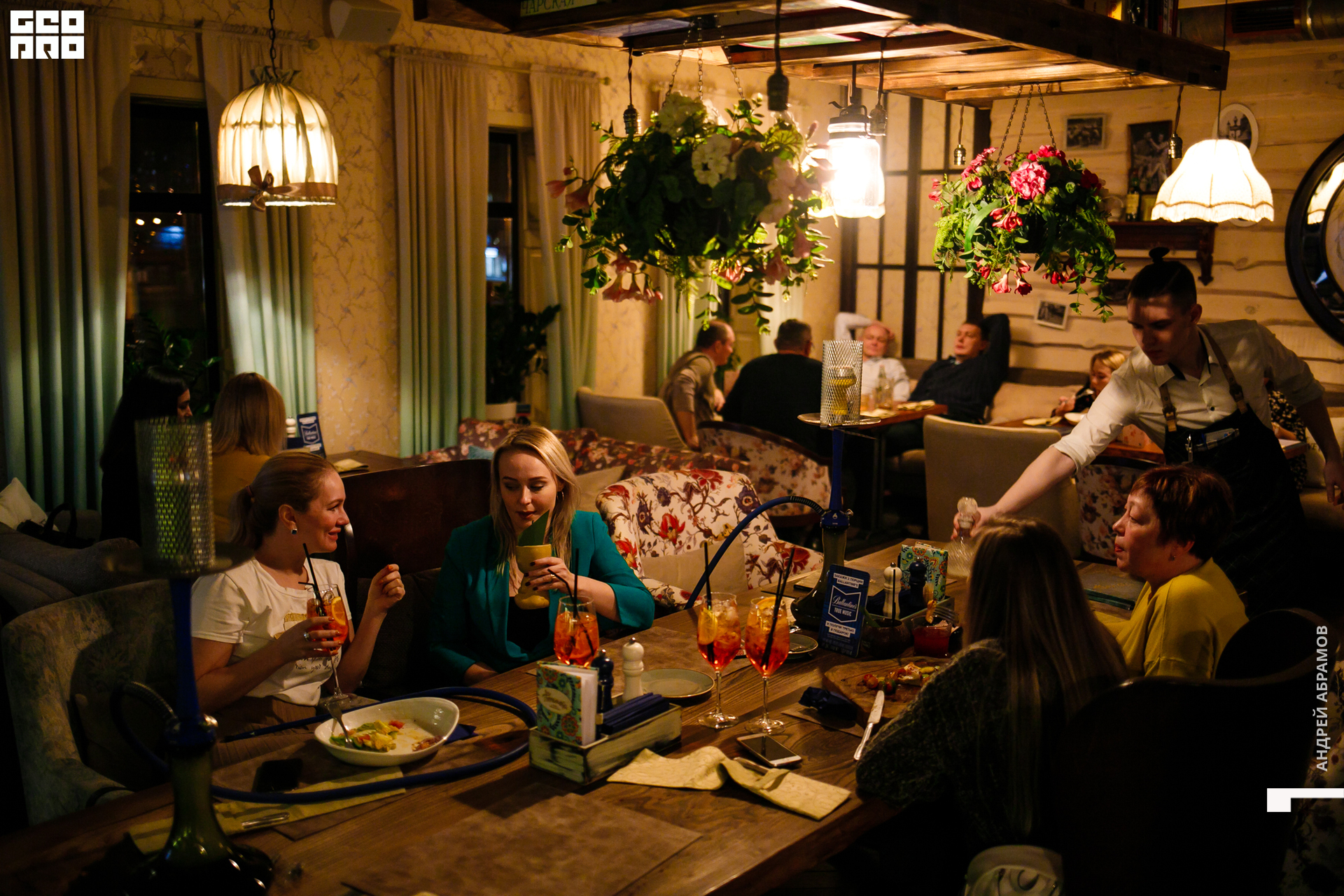 081119 Птичка Абрамов 0016.jpg