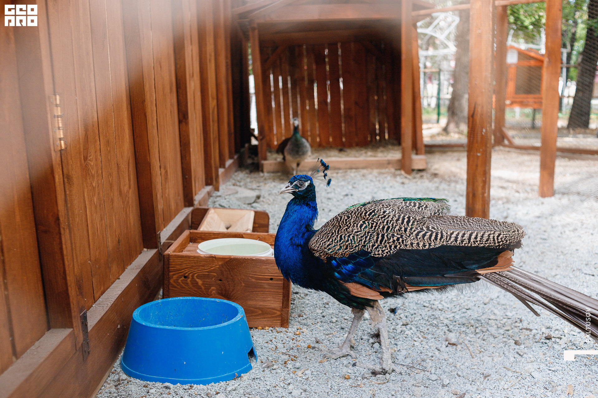 021-2020-07-25-15-55-22 - Paltusov.jpg