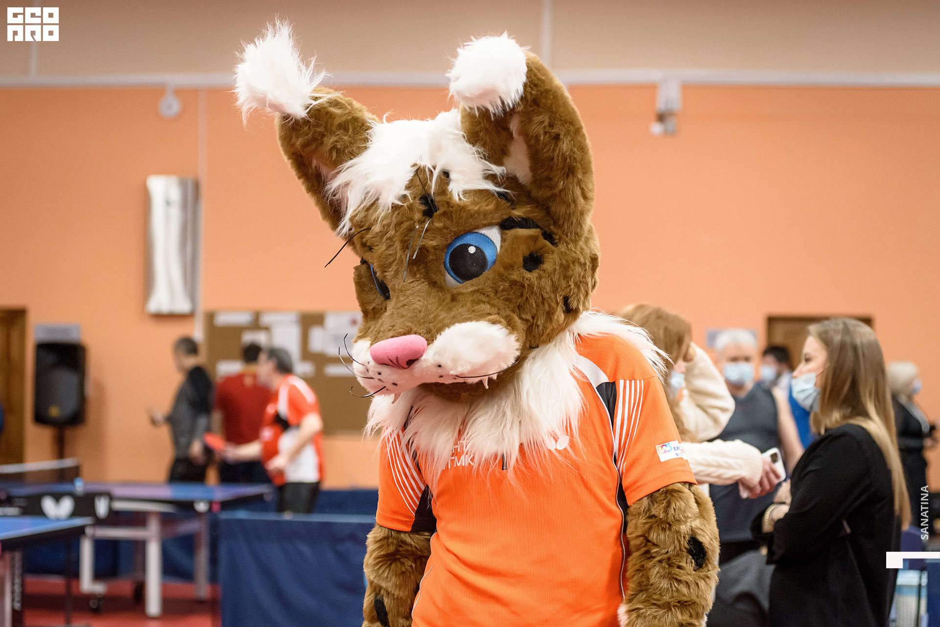 0132_2020-10-22_20-11-25 - Sanatina.jpg