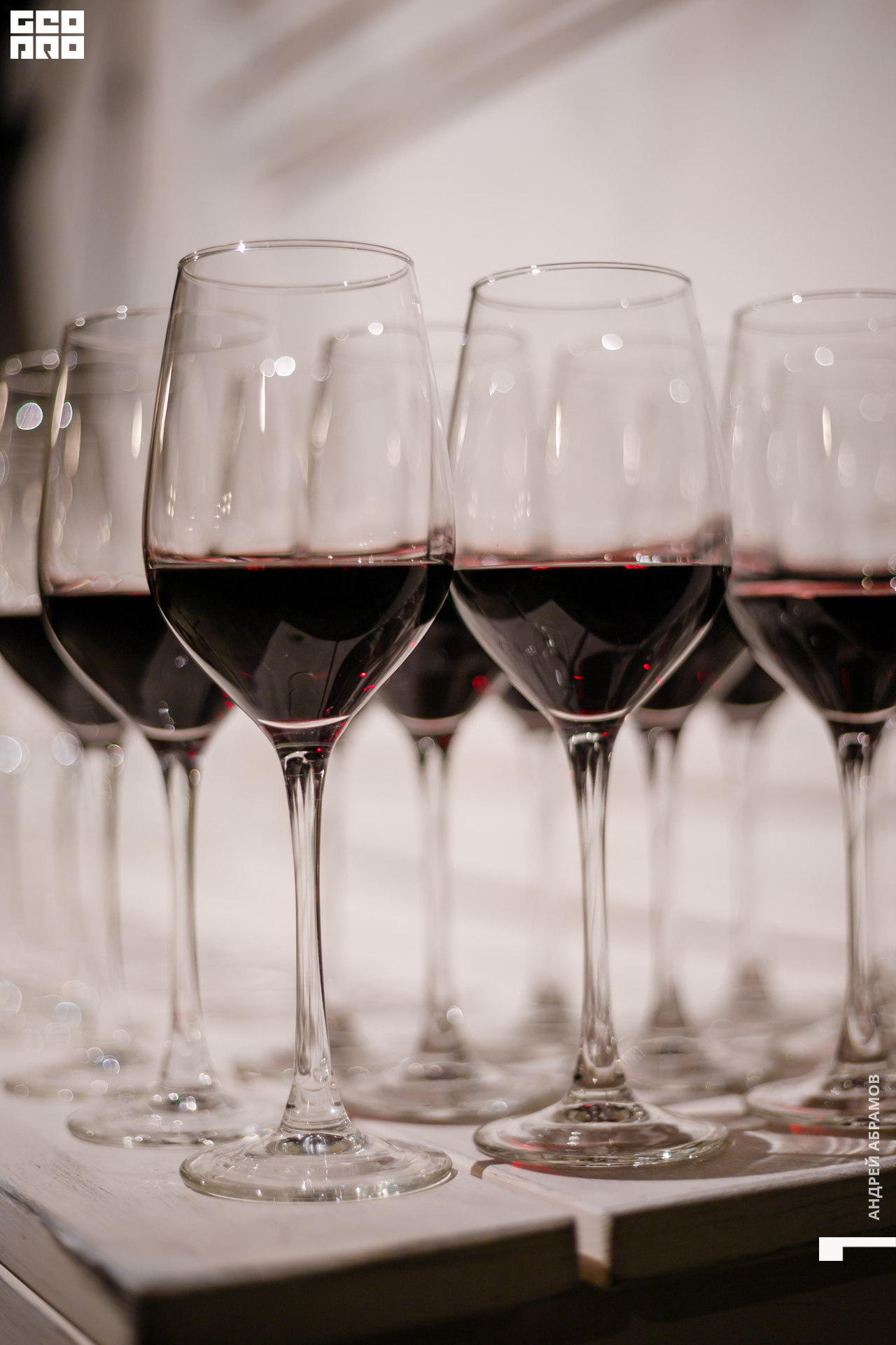 241019 Гастроужин Птичка0035.jpg