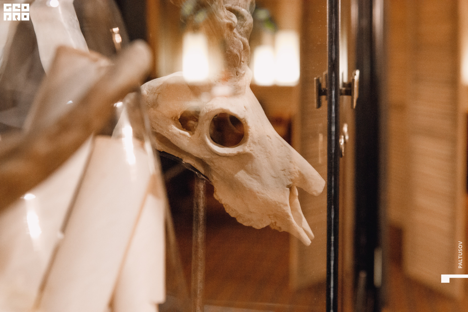 269-2019-12-28-21-16-32 - Paltusov.jpg