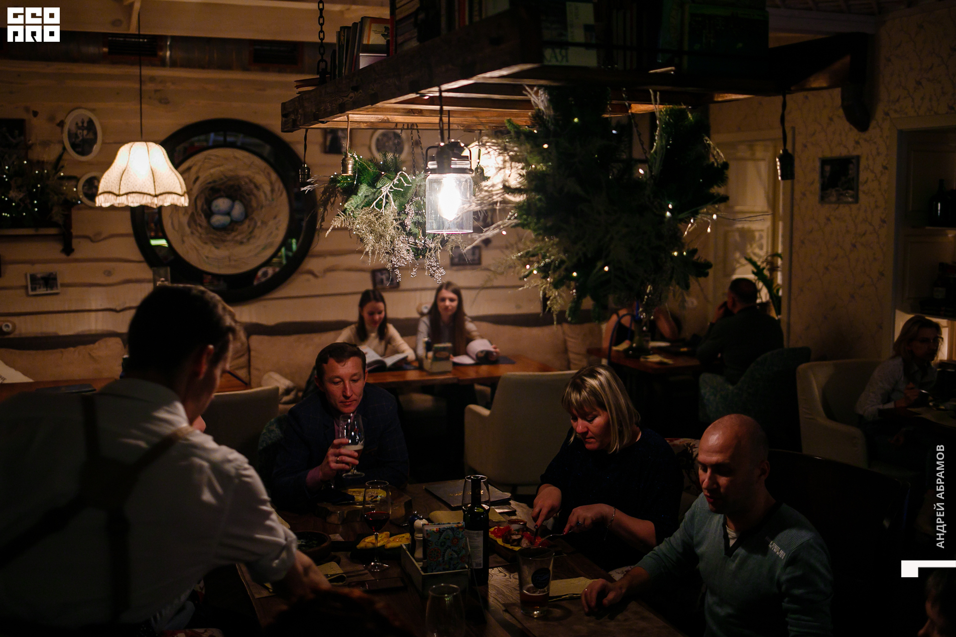 061219 Птичка Абрамов  0068.jpg