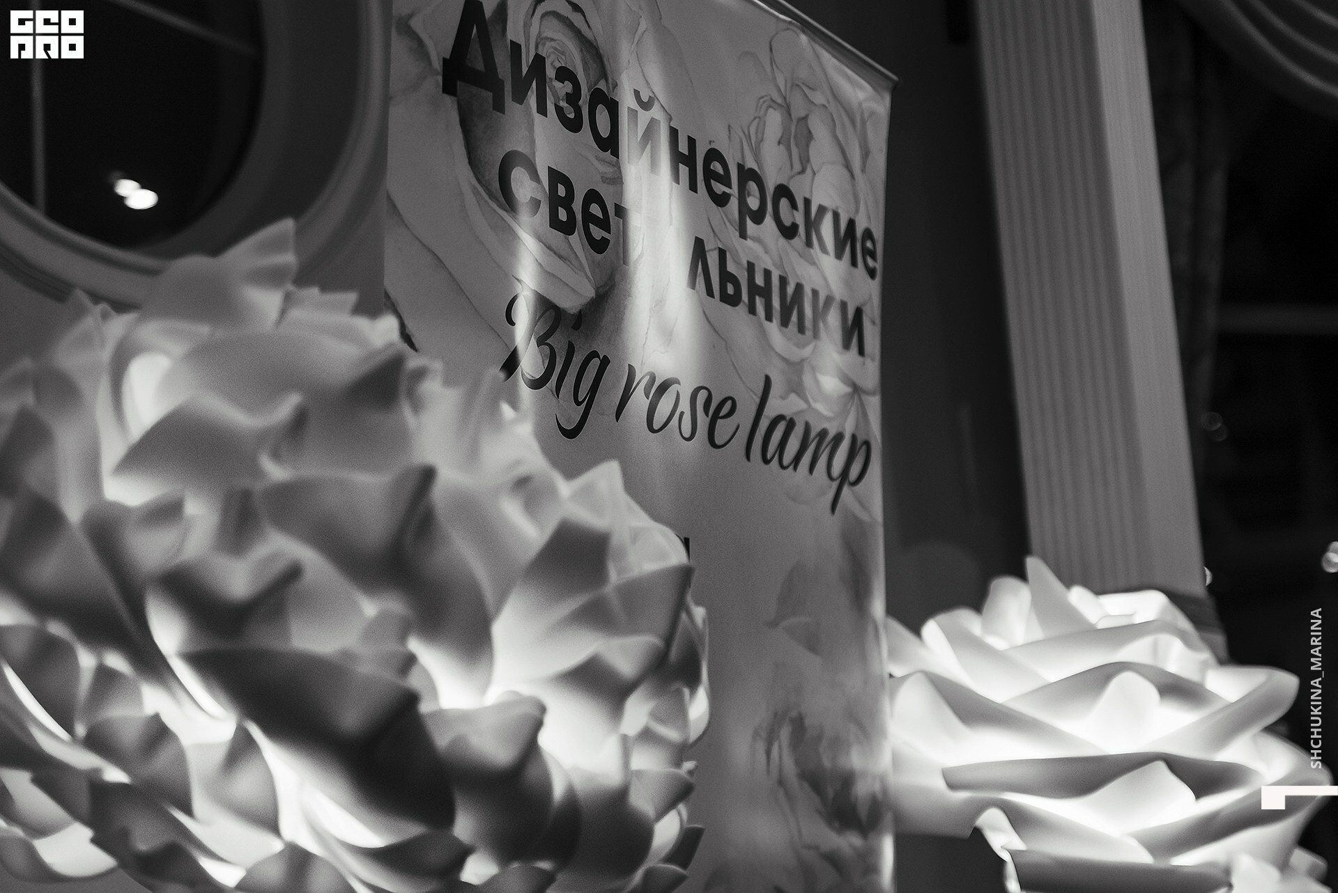 03.11.2019 цвет-233.jpg